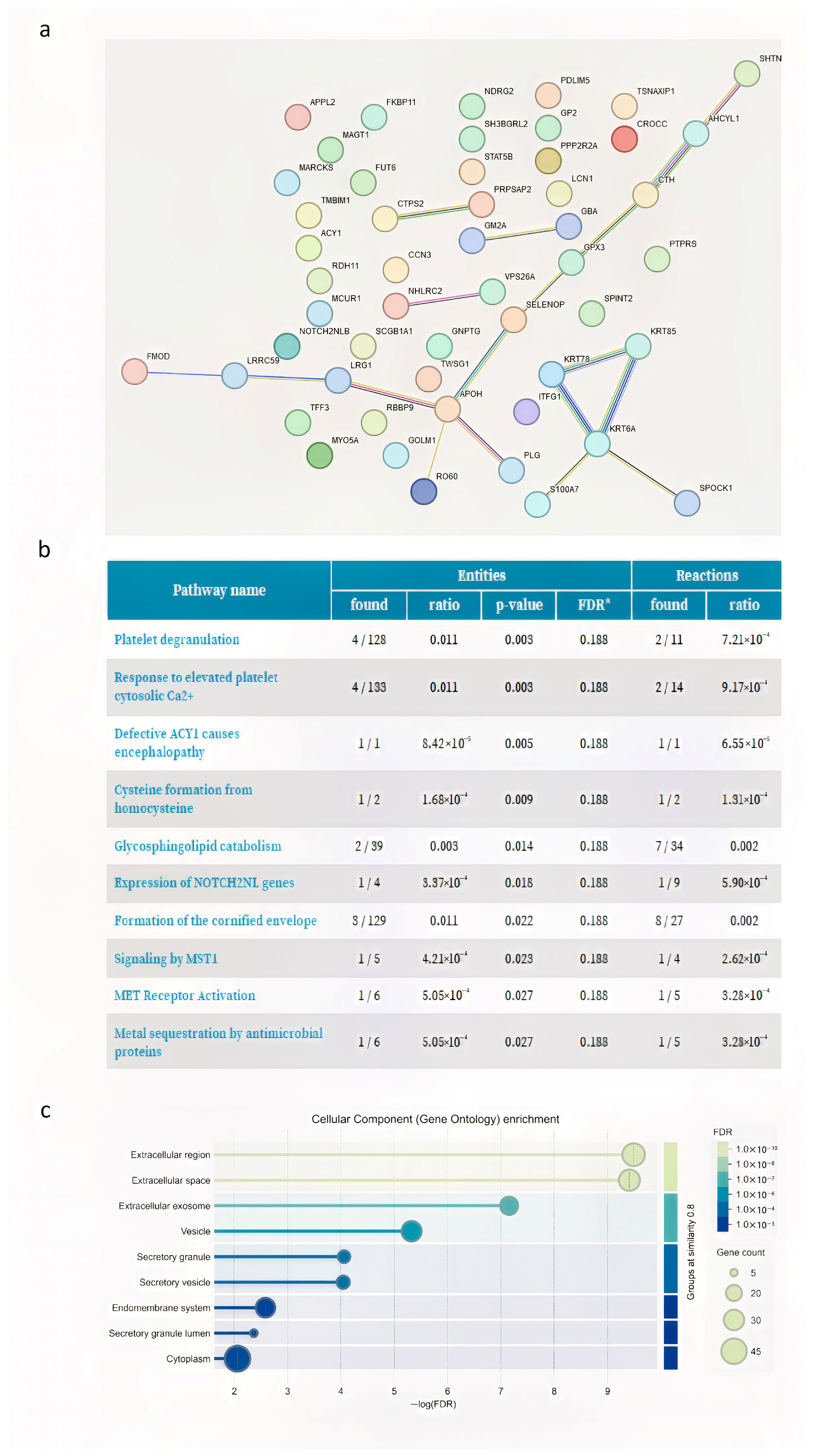 Proteomes 13 00034 g003 Proteomes 13 00034 g003