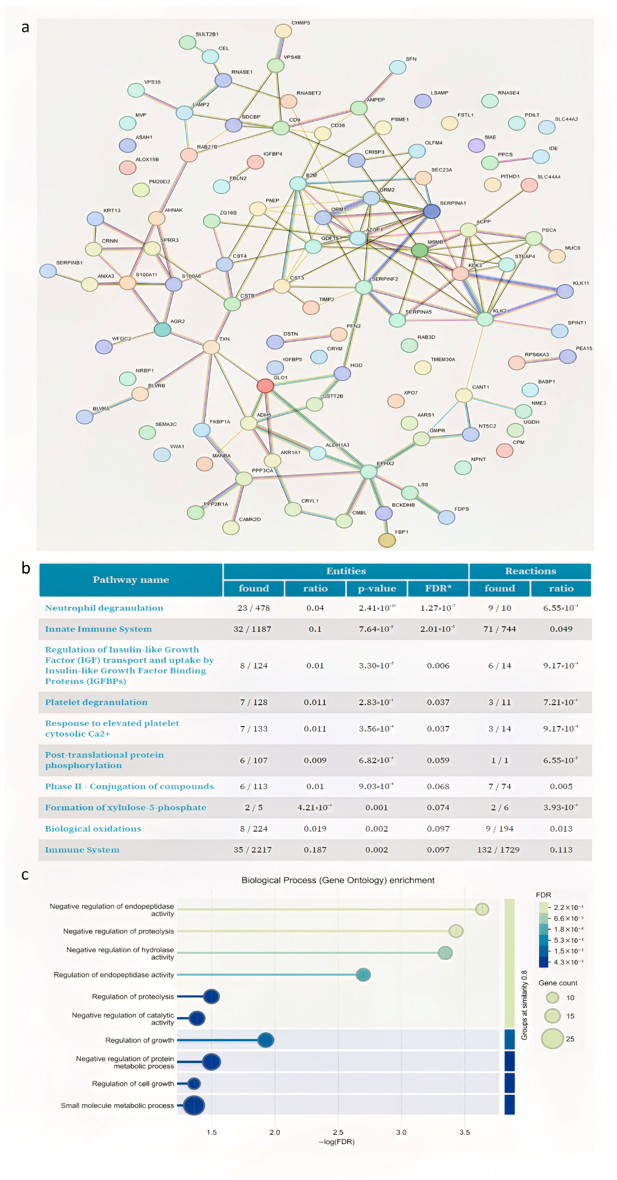Proteomes 13 00034 g004 Proteomes 13 00034 g004