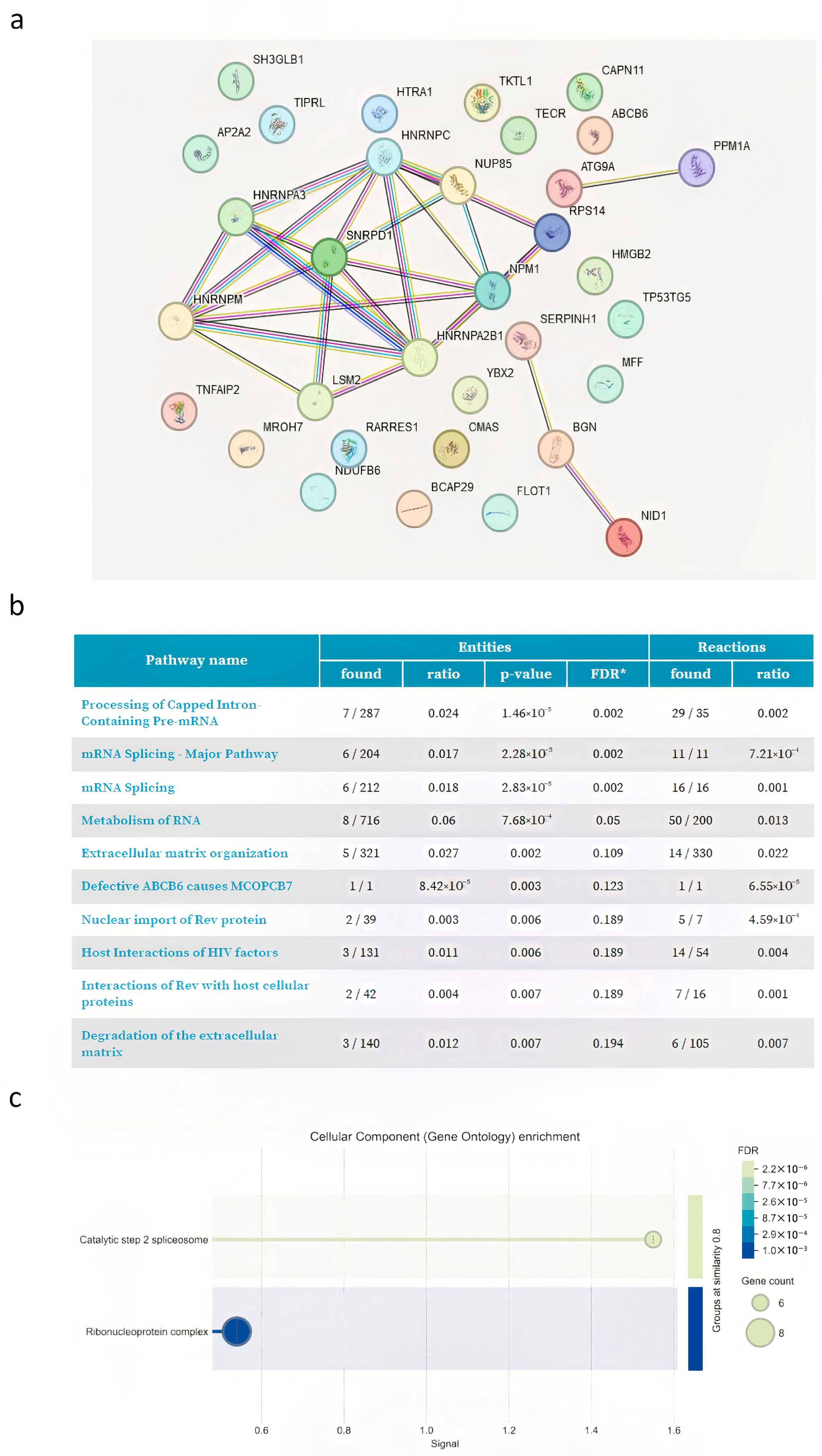 Proteomes 13 00034 g005 Proteomes 13 00034 g005