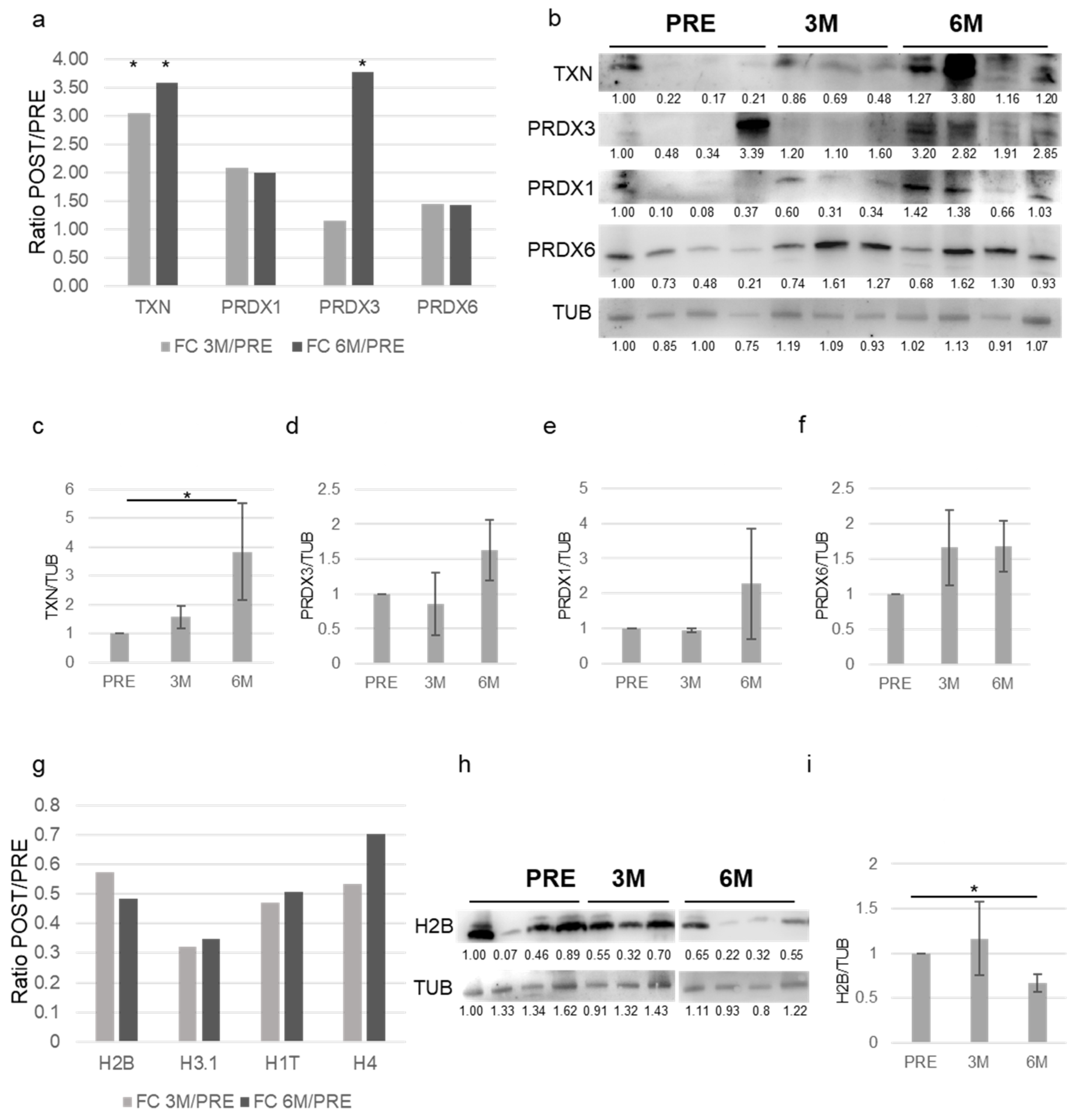 Proteomes 13 00034 g006 Proteomes 13 00034 g006