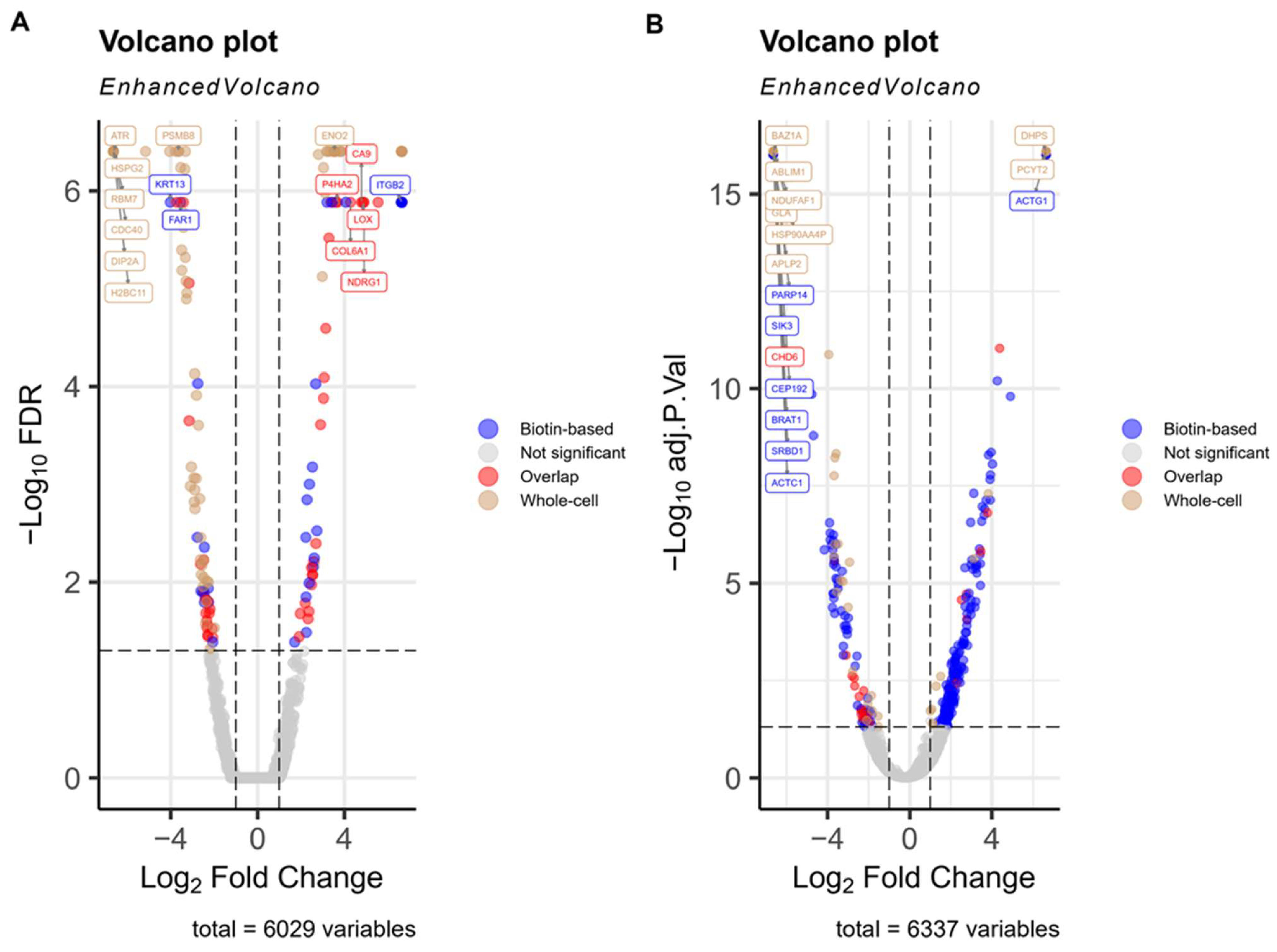 Proteomes 13 00036 g001 Proteomes 13 00036 g001