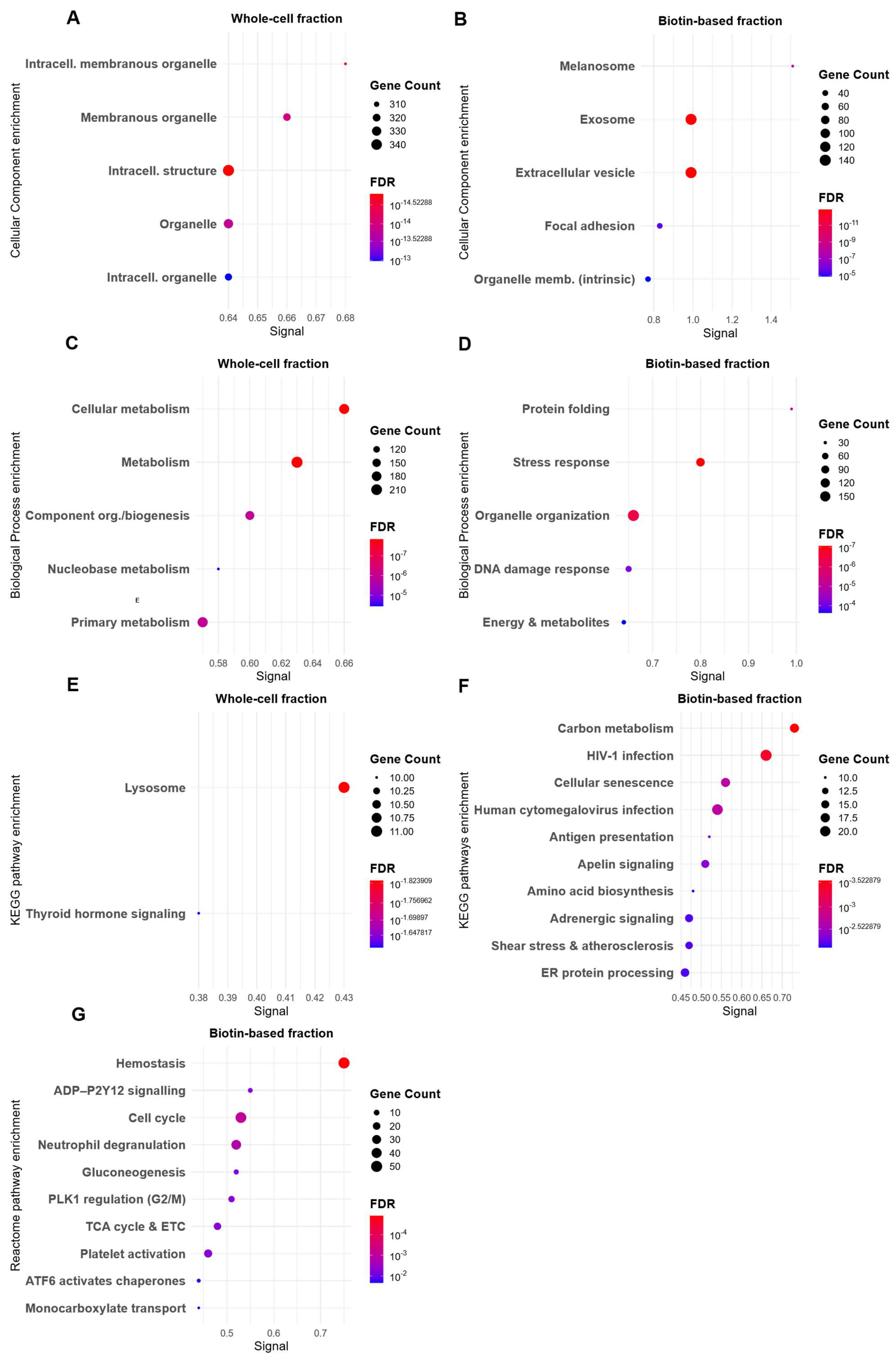 Proteomes 13 00036 g004 Proteomes 13 00036 g004