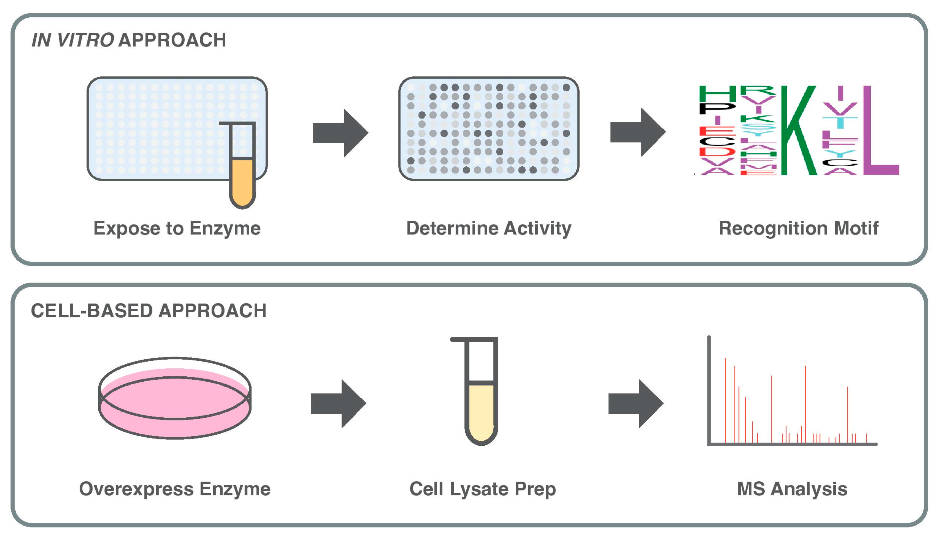 Proteomes 13 00037 g003 Proteomes 13 00037 g003