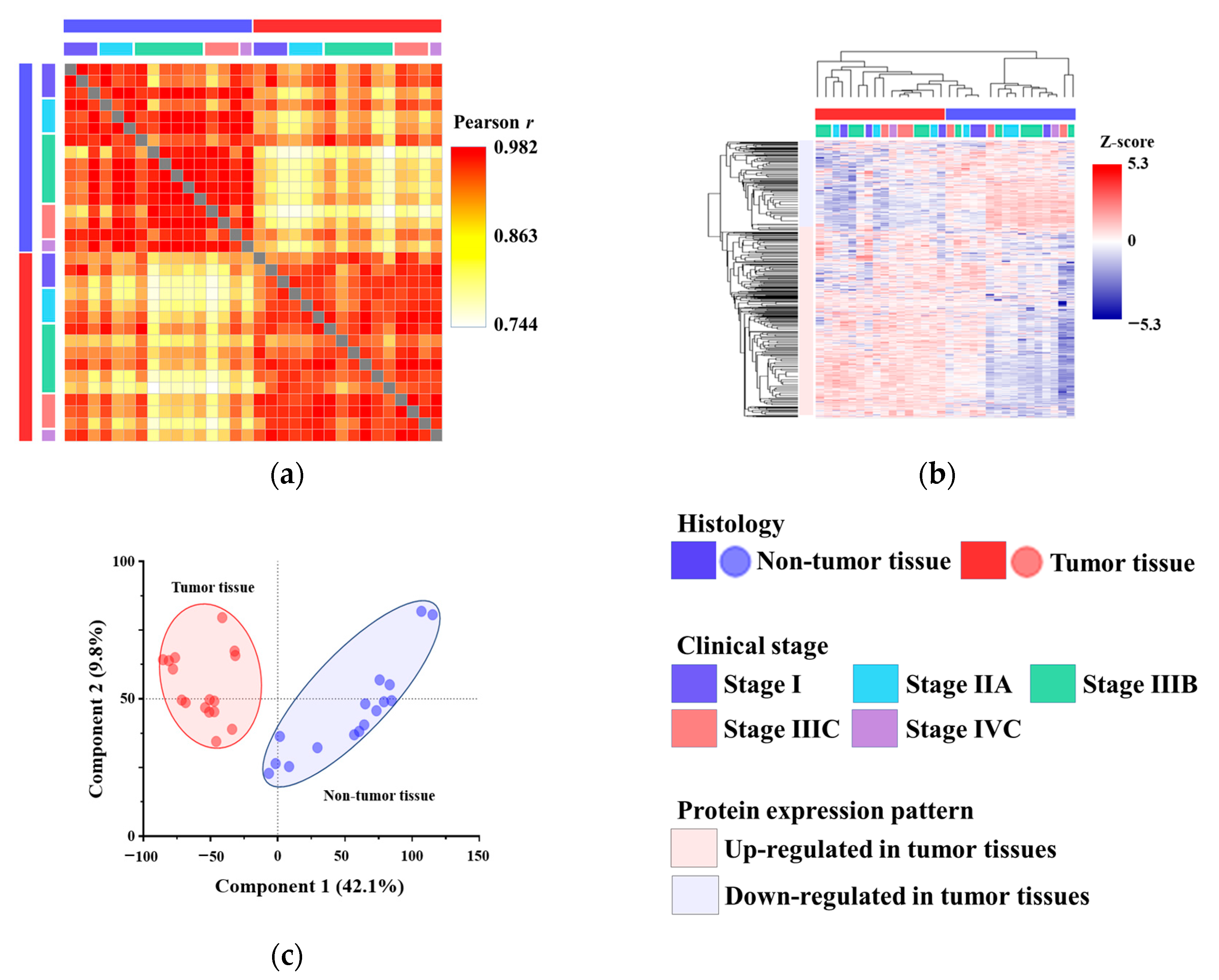 Proteomes 13 00038 g001 Proteomes 13 00038 g001