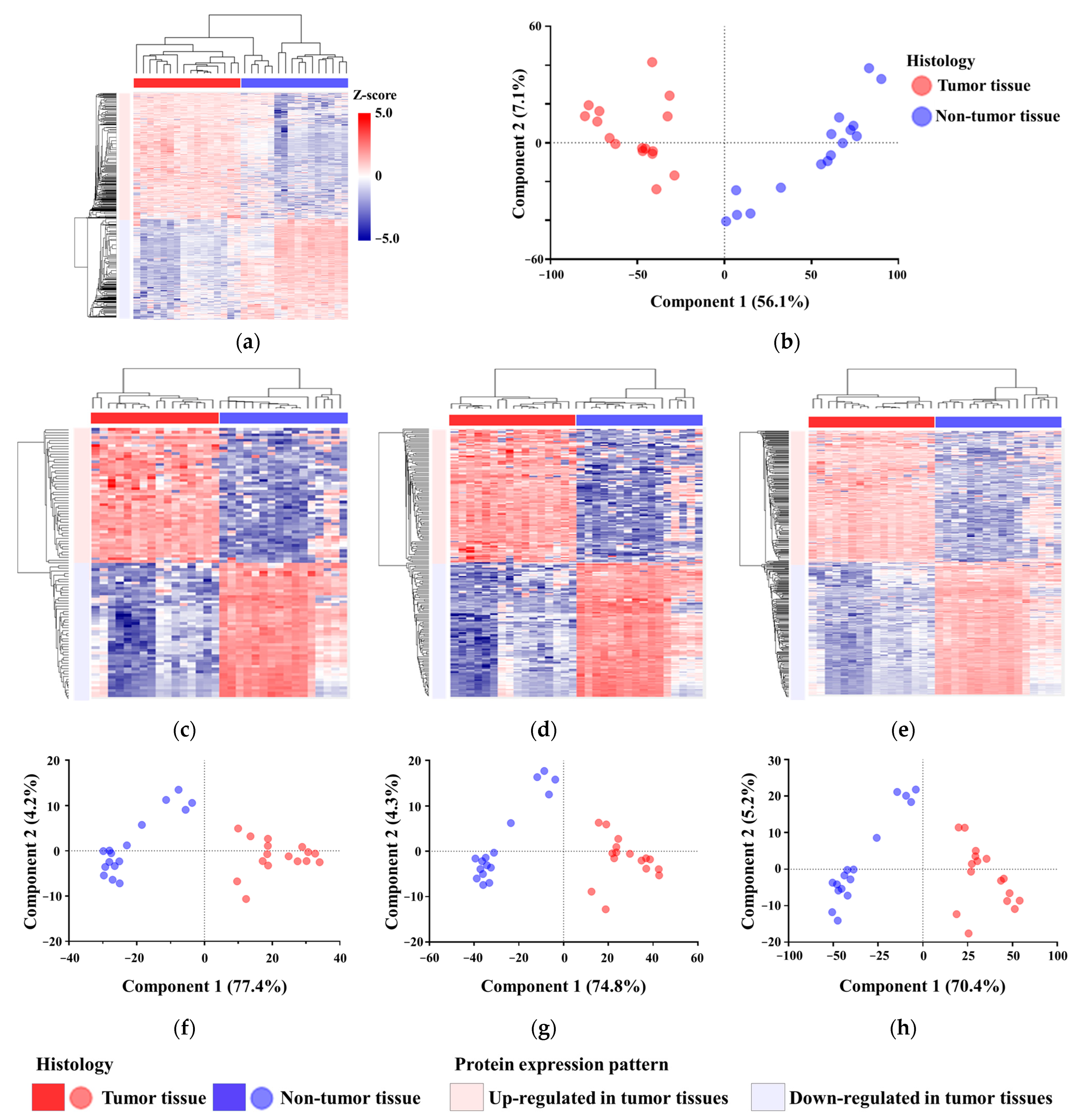 Proteomes 13 00038 g002 Proteomes 13 00038 g002