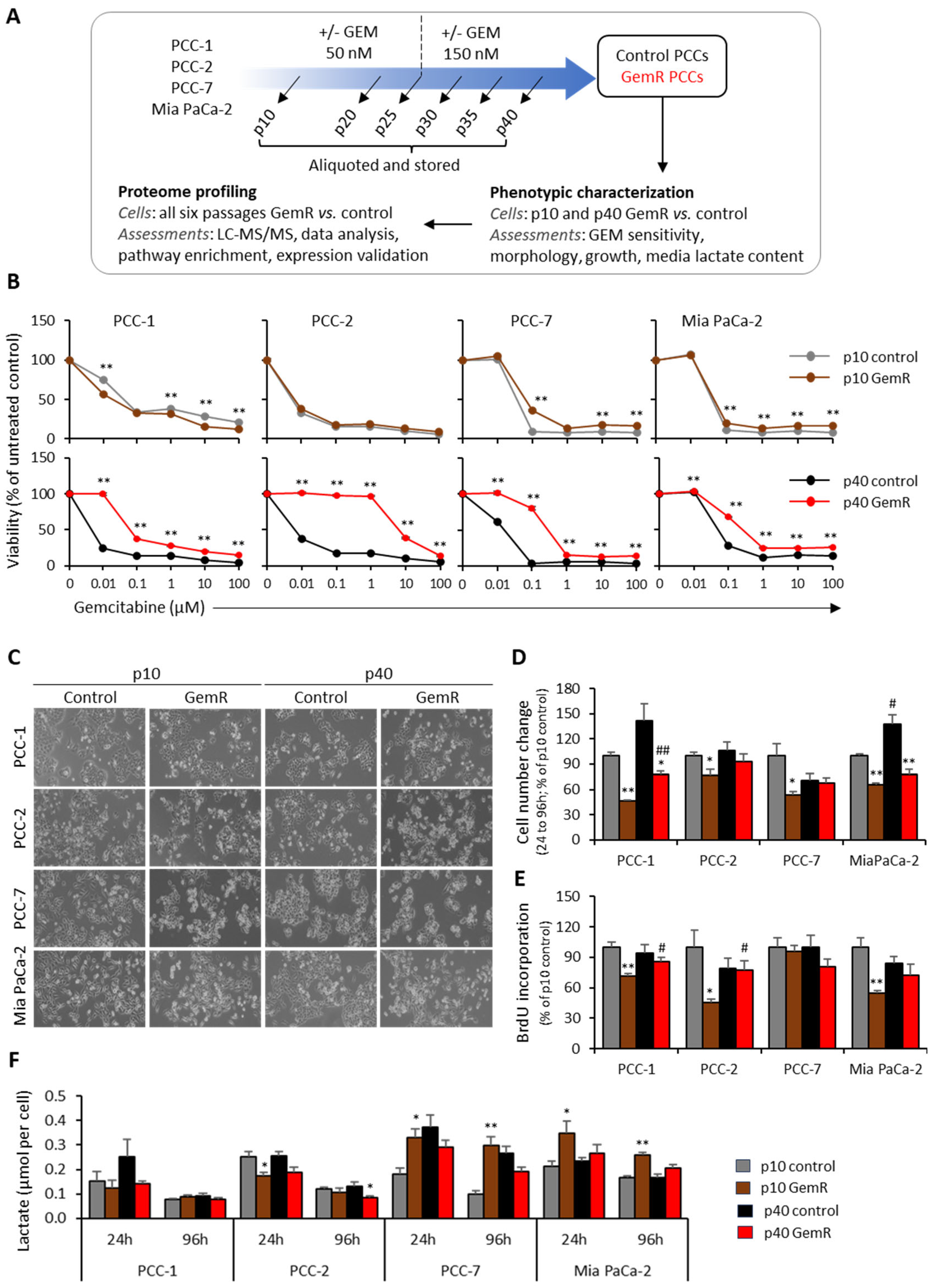 Proteomes 13 00048 g001 Proteomes 13 00048 g001