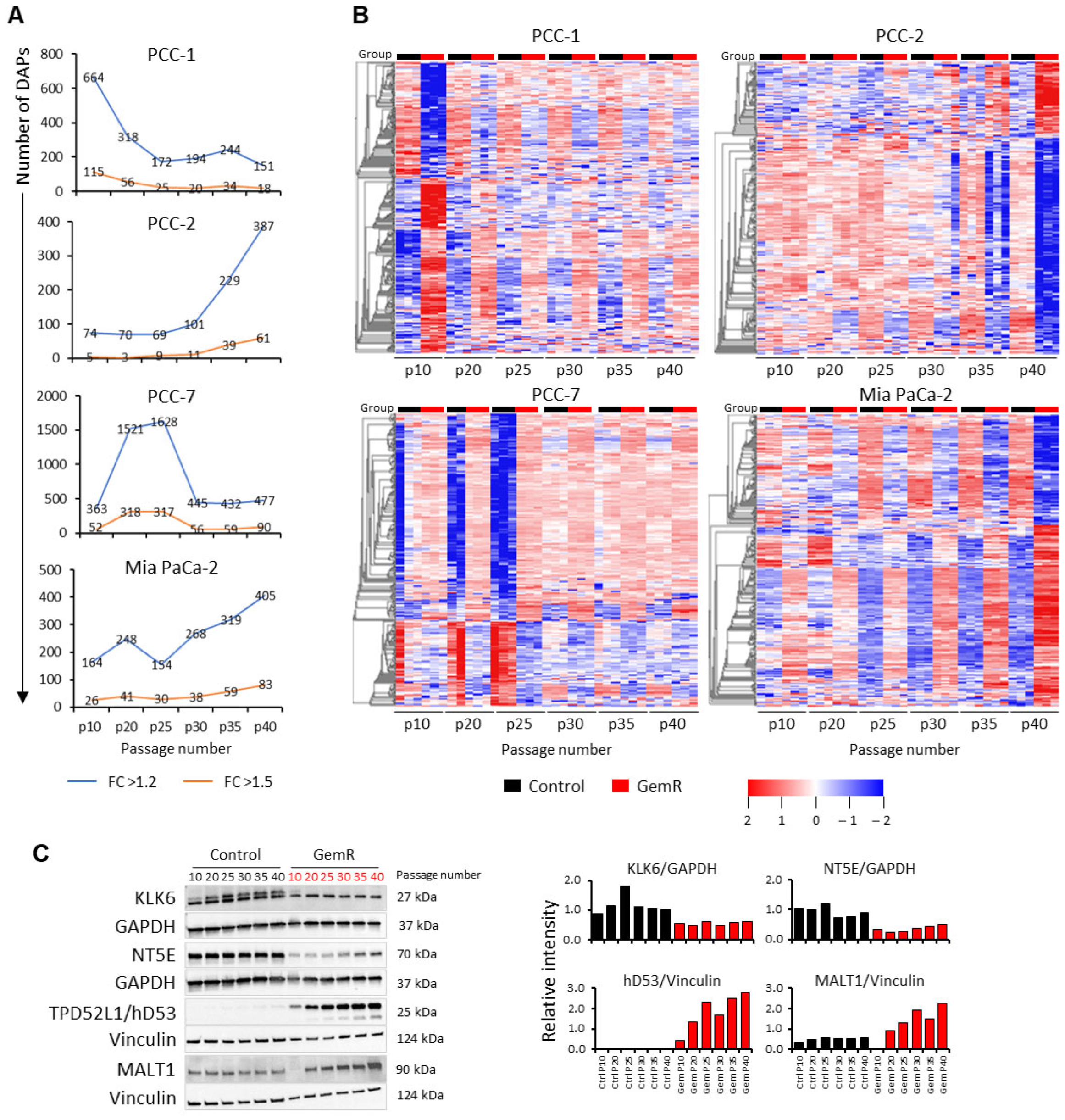 Proteomes 13 00048 g003 Proteomes 13 00048 g003