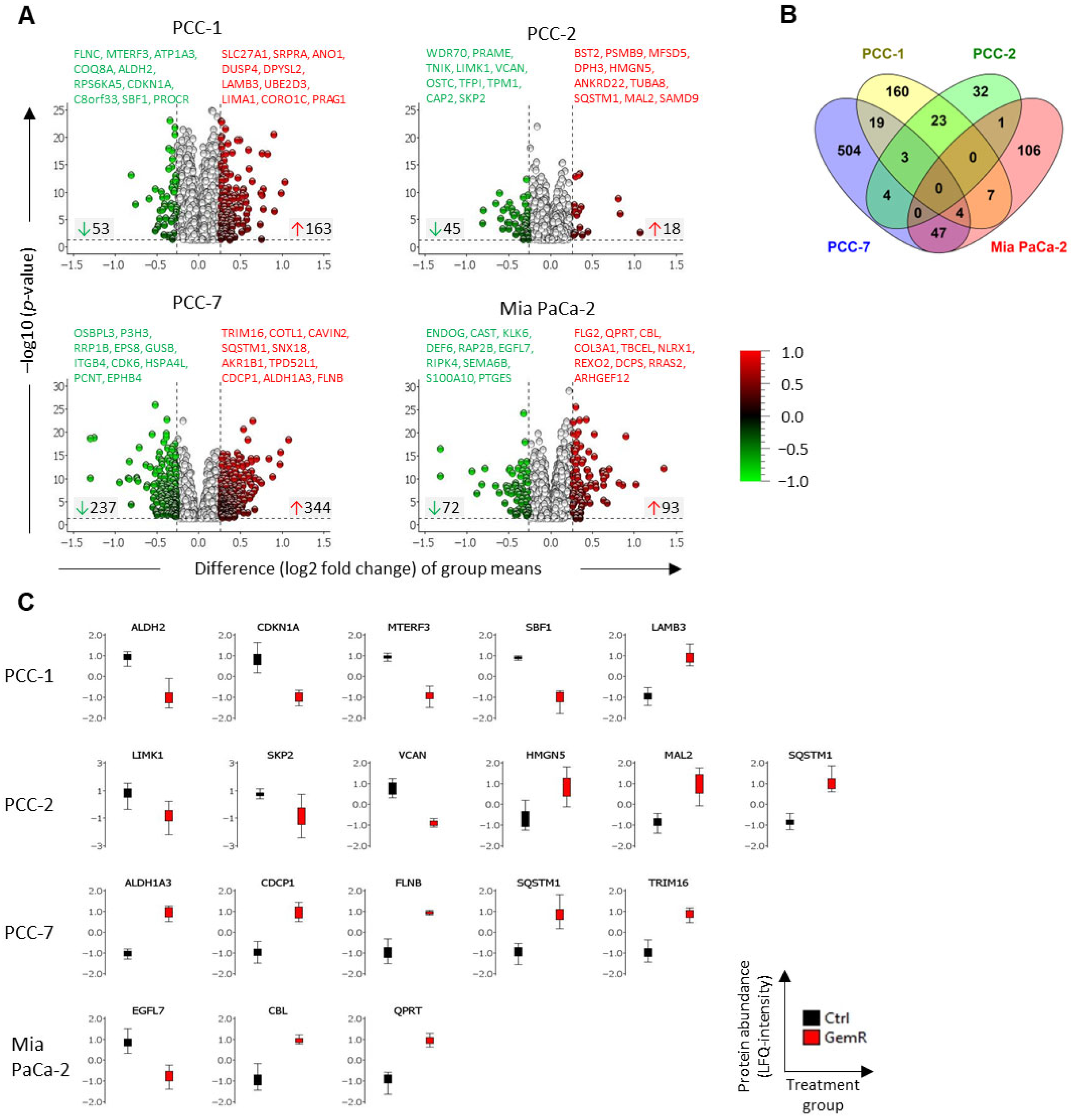 Proteomes 13 00048 g004 Proteomes 13 00048 g004