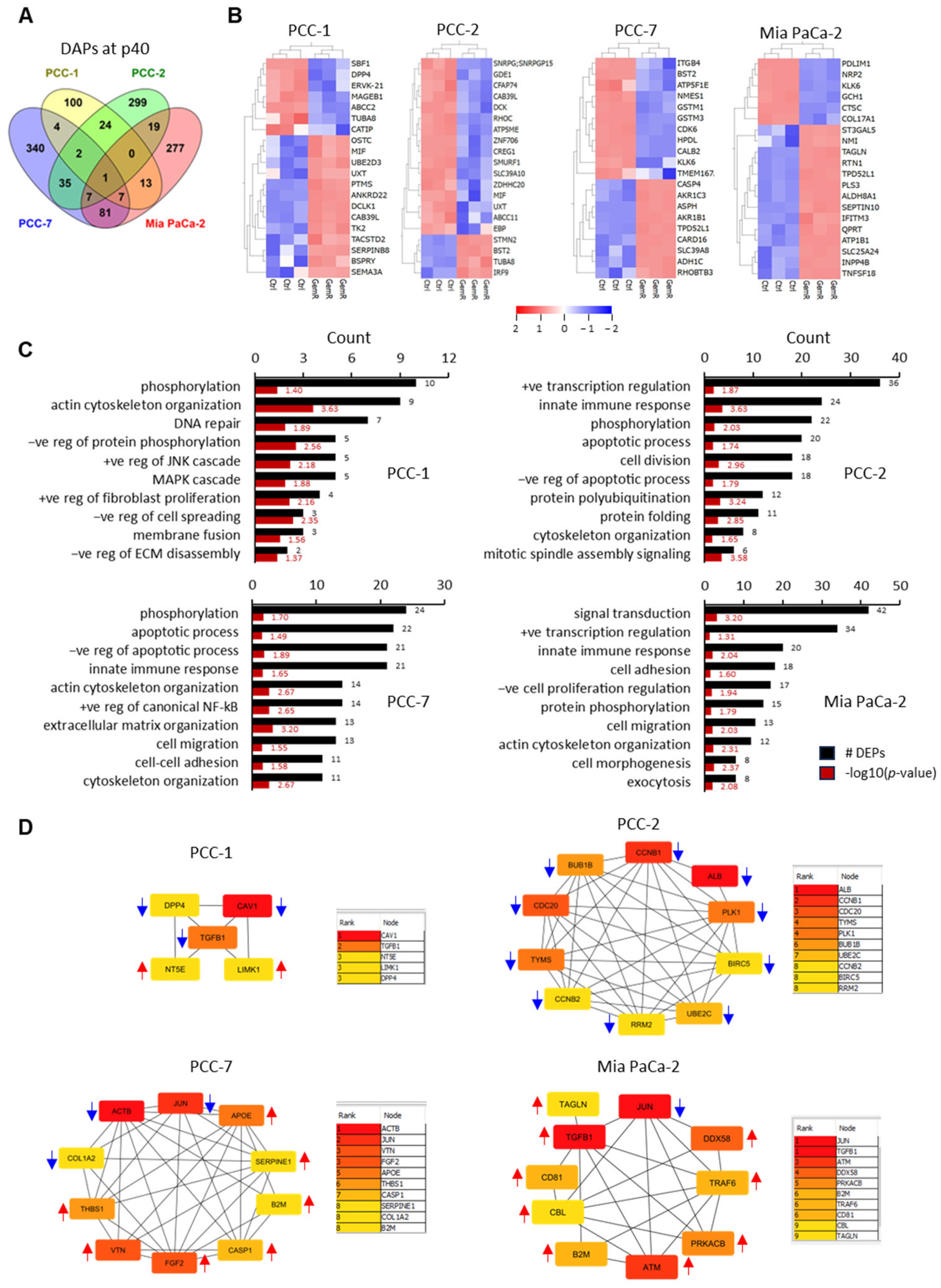 Proteomes 13 00048 g005 Proteomes 13 00048 g005