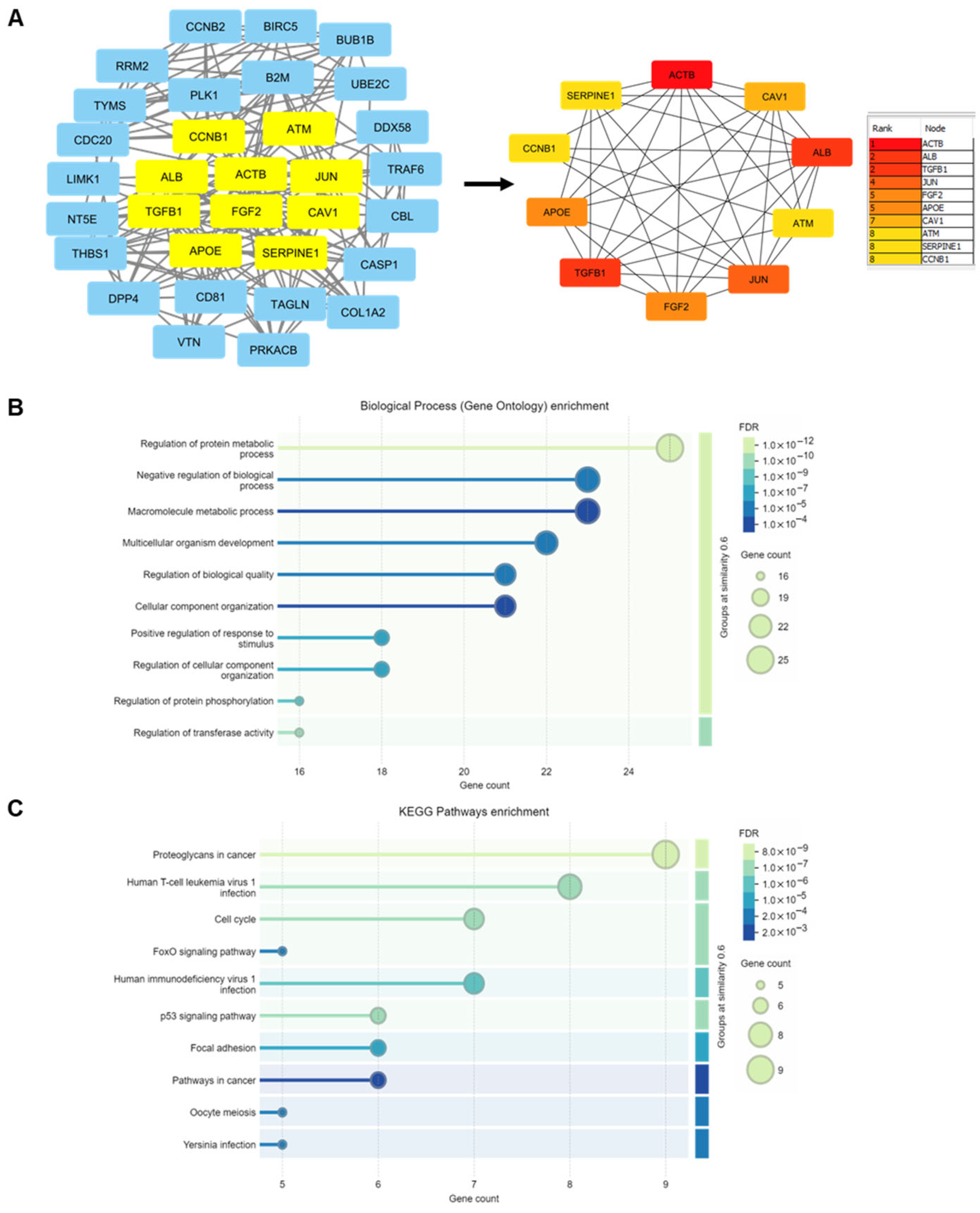 Proteomes 13 00048 g006 Proteomes 13 00048 g006