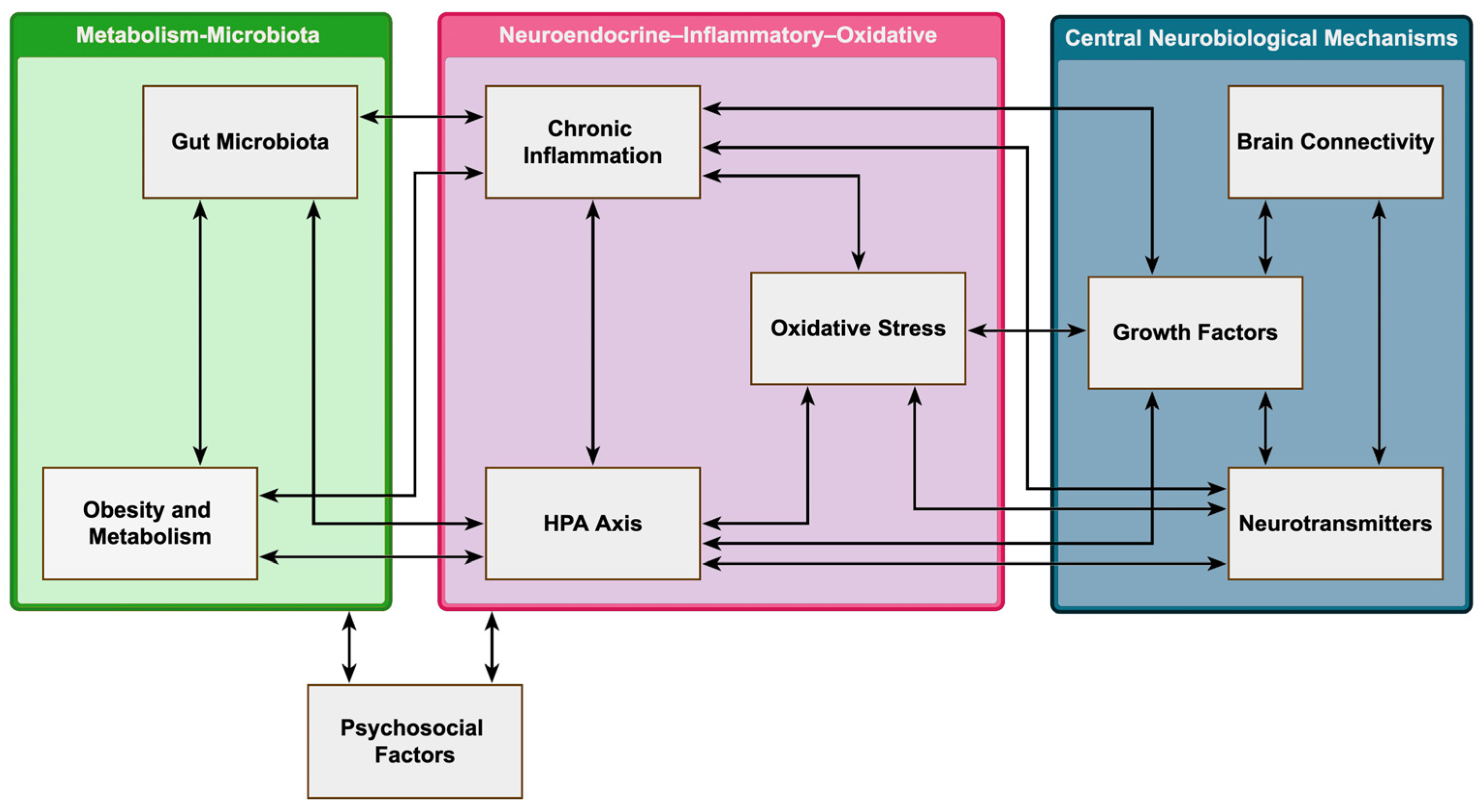 Psychiatryint 06 00134 g002 Psychiatryint 06 00134 g002