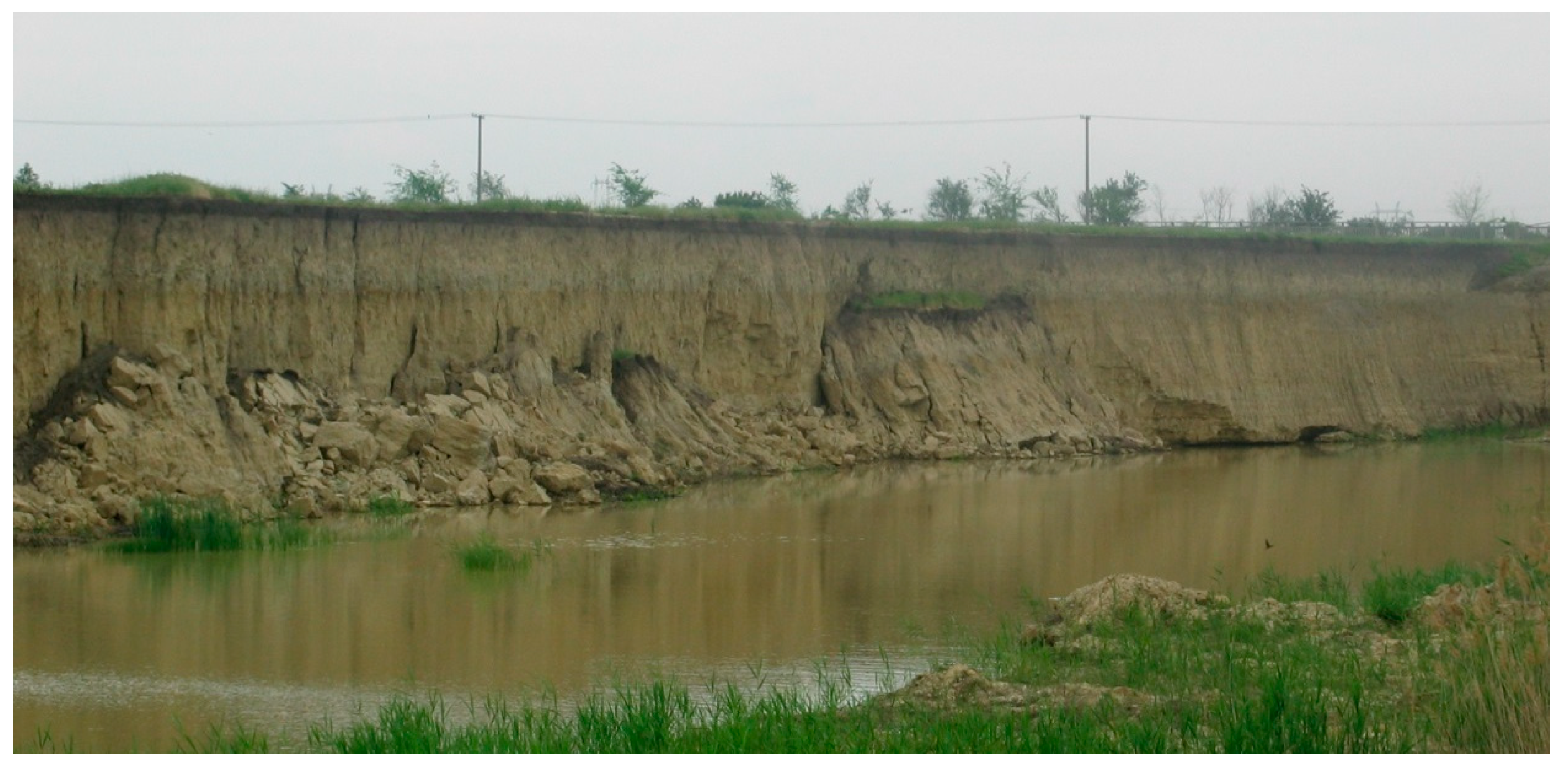 Quaternary 01 00014 g006a