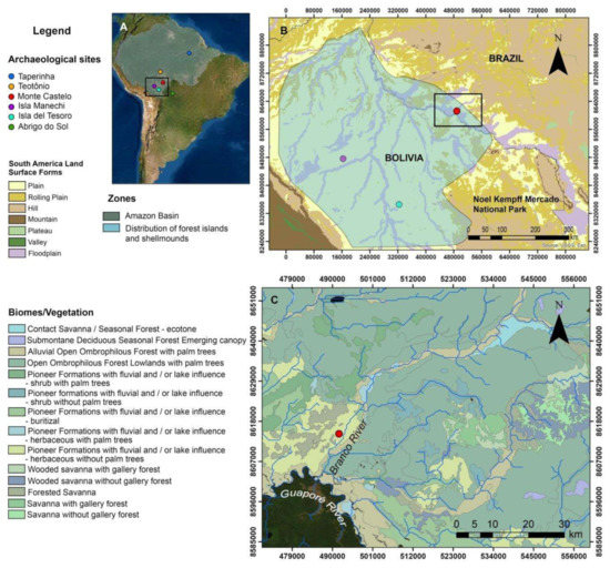 Quaternary | Free Full-Text | Facing Change through Diversity: Resilience  and Diversification of Plant Management Strategies during the Mid to Late  Holocene Transition at the Monte Castelo Shellmound, SW Amazonia | HTML