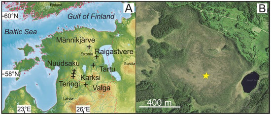 A global Estonian family markets birch water to the world