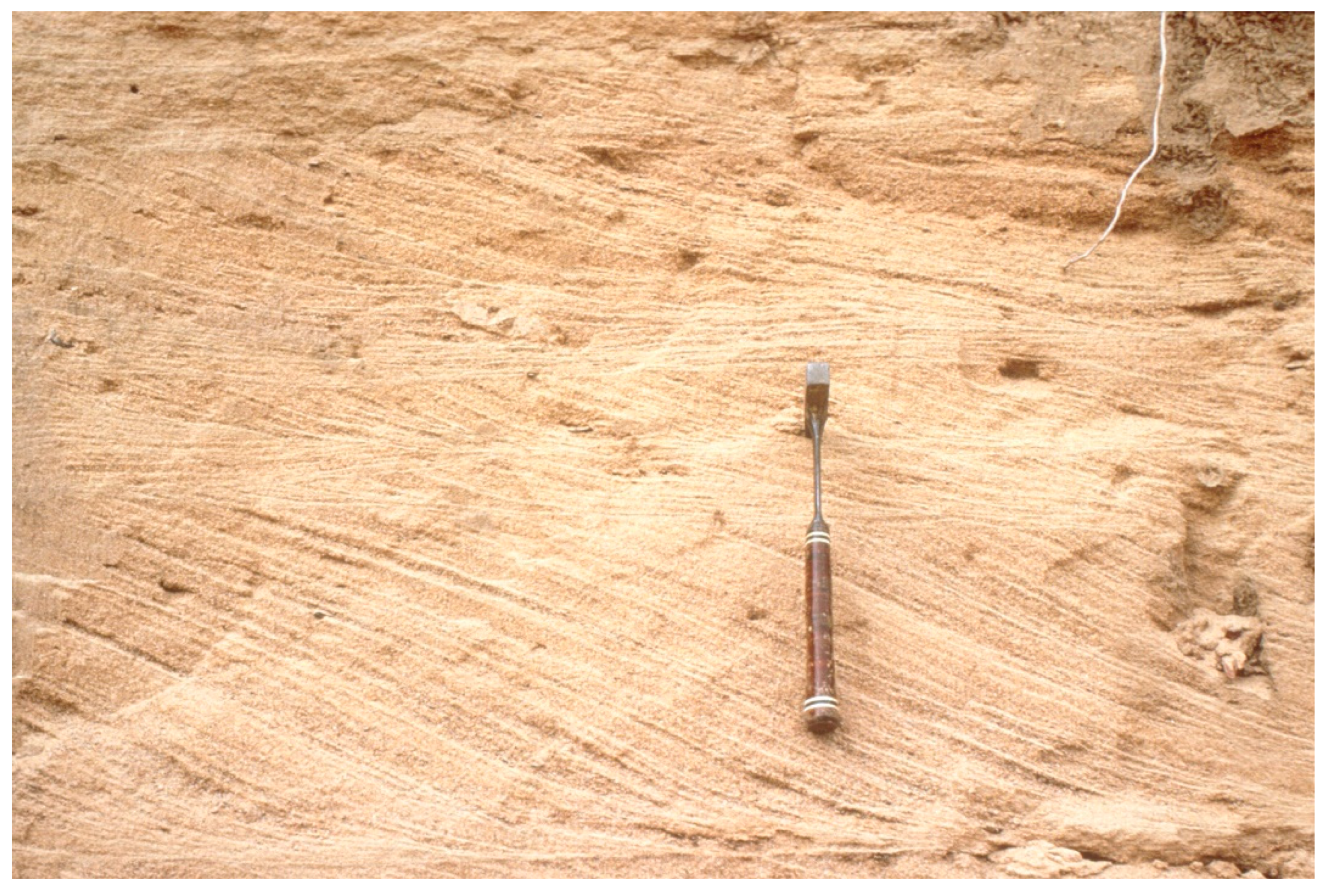 Quaternary 05 00032 g0a3