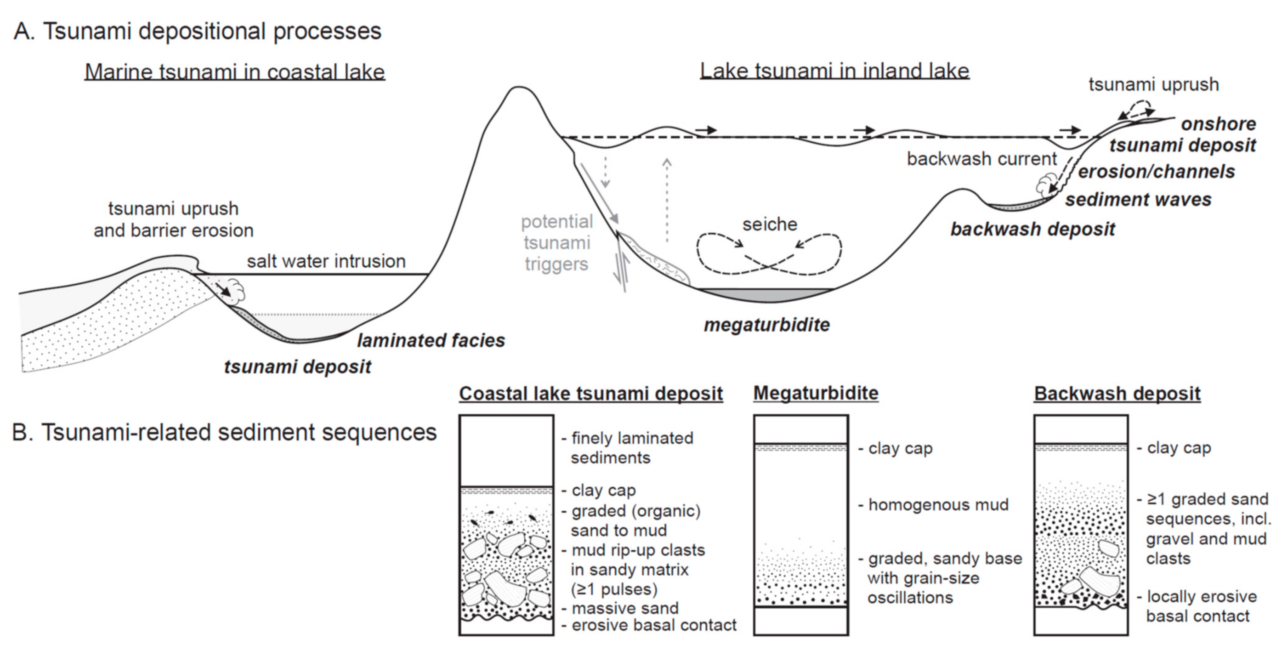 Quaternary 05 00034 g008