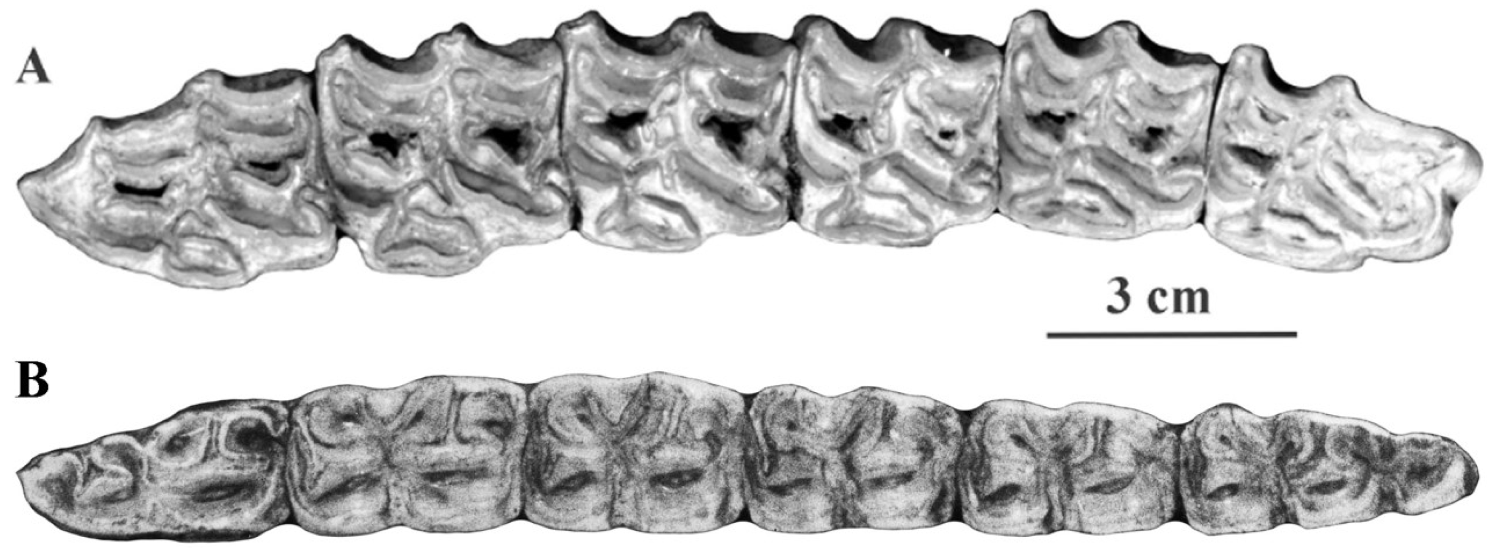 Quaternary 05 00038 g057 Quaternary 05 00038 g057