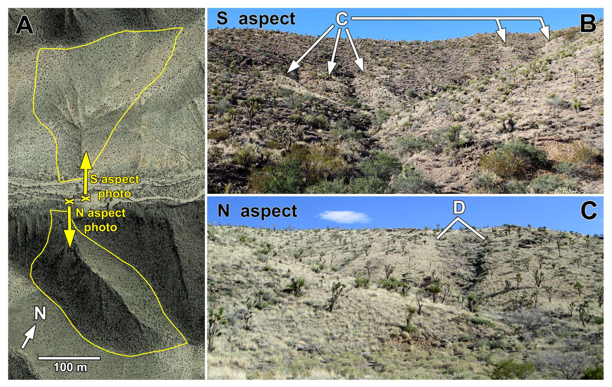 Quaternary 05 00043 g003 Quaternary 05 00043 g003
