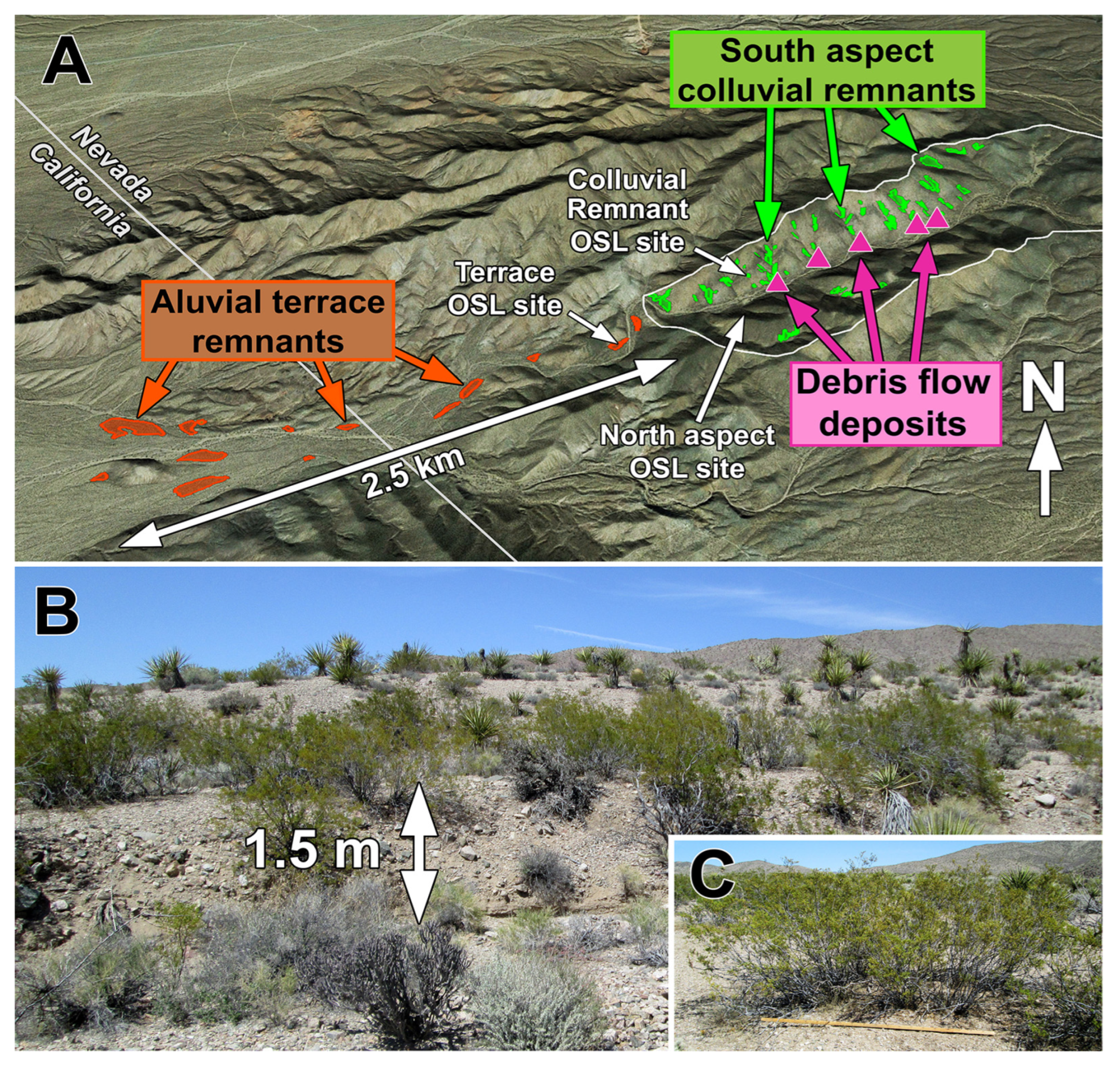 Quaternary 05 00043 g008 Quaternary 05 00043 g008