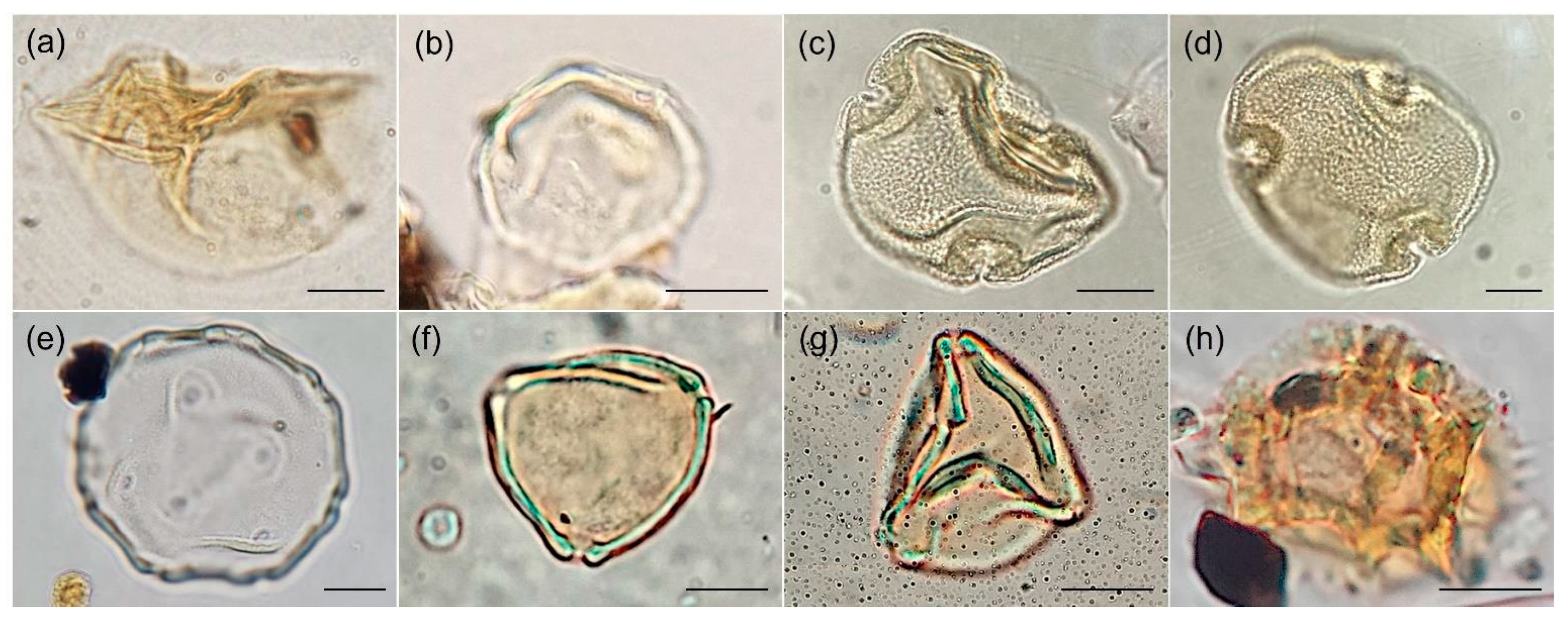Quaternary 05 00050 g003 Quaternary 05 00050 g003