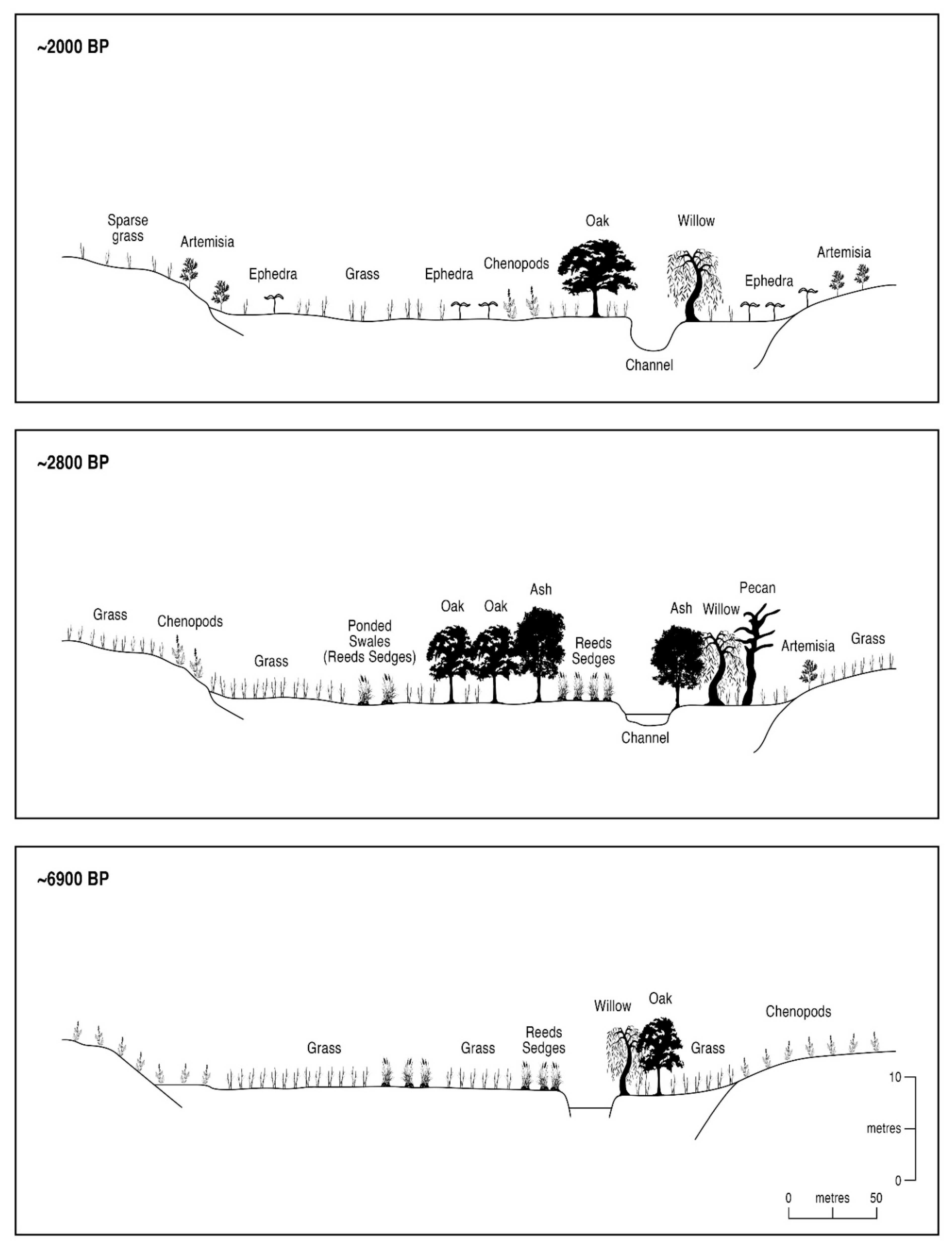 Quaternary 06 00015 g012 Quaternary 06 00015 g012