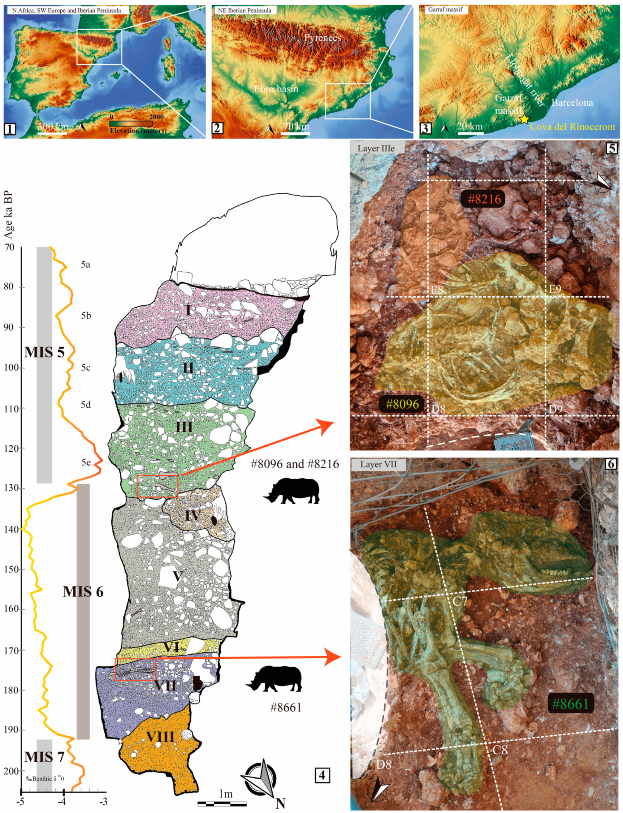 Quaternary 06 00060 g001 Quaternary 06 00060 g001