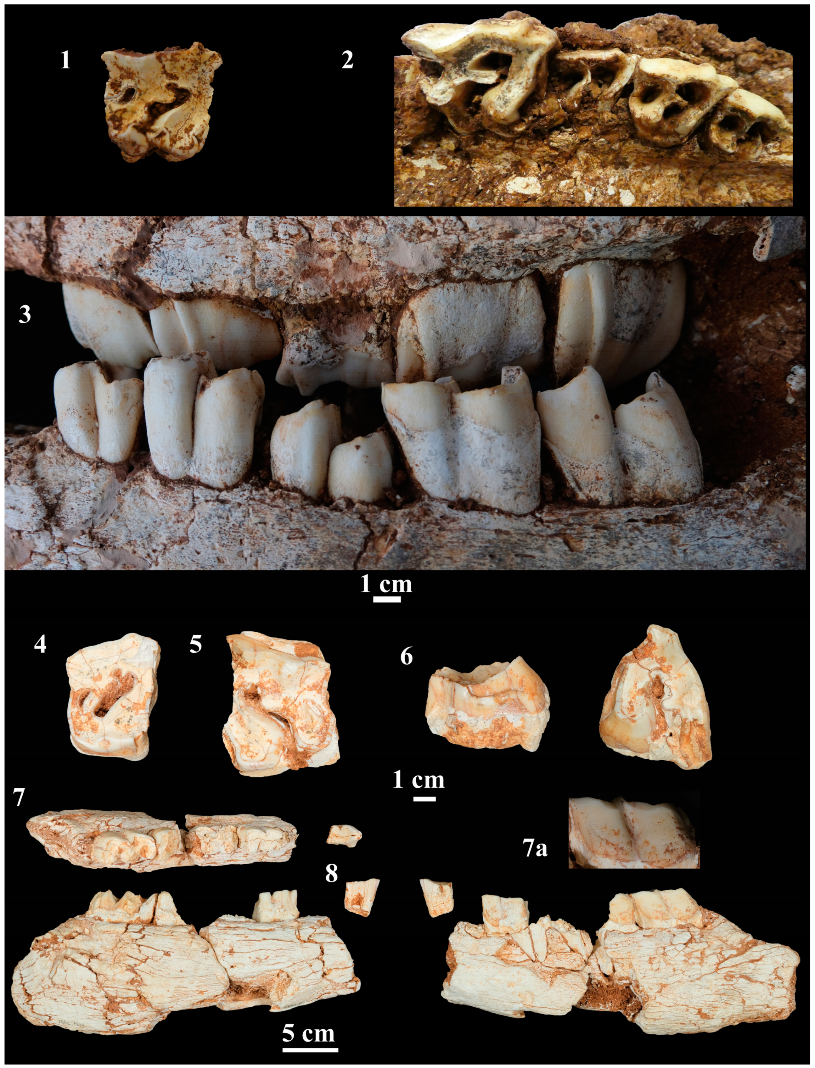 Quaternary 06 00060 g003 Quaternary 06 00060 g003