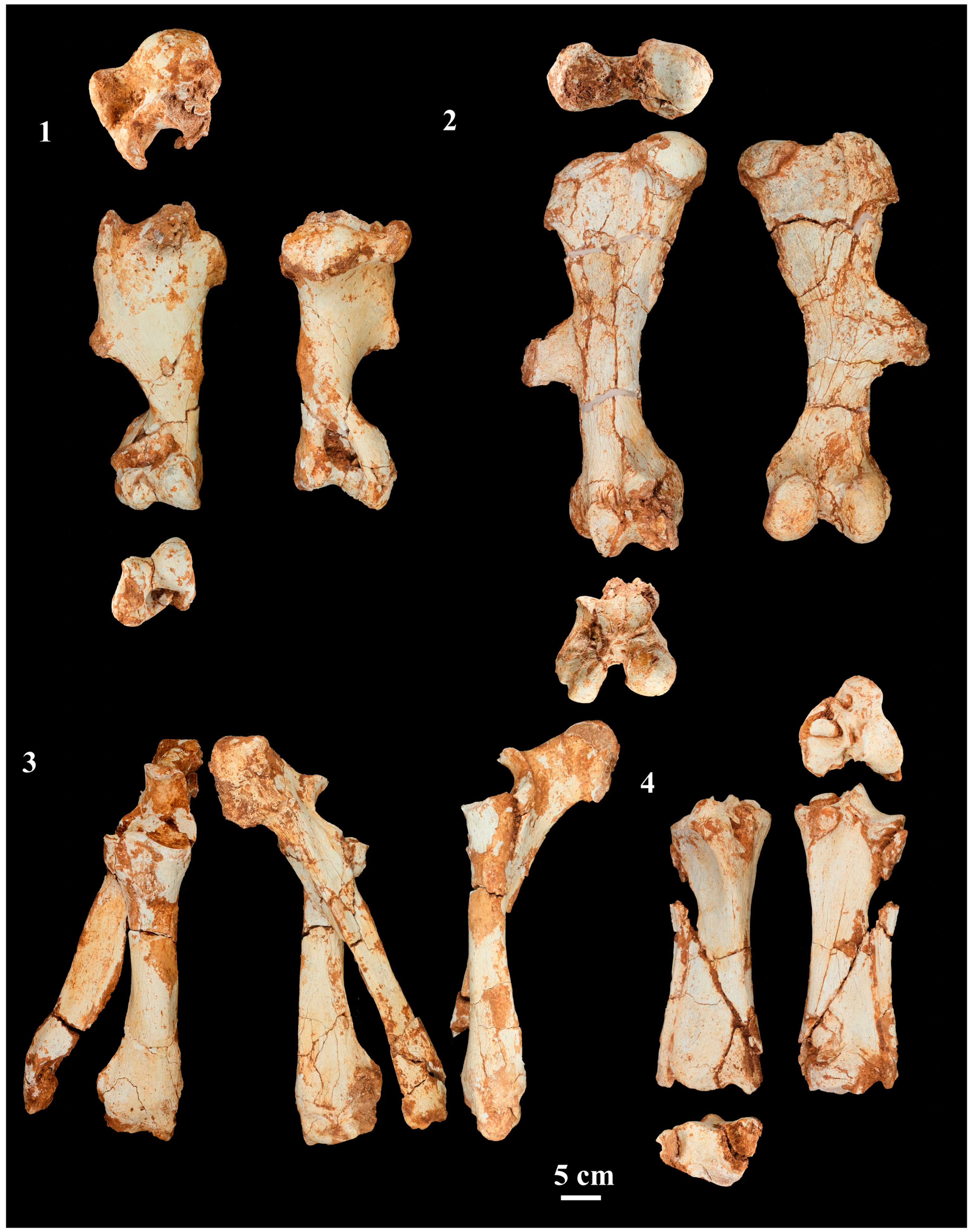 Quaternary 06 00060 g004 Quaternary 06 00060 g004