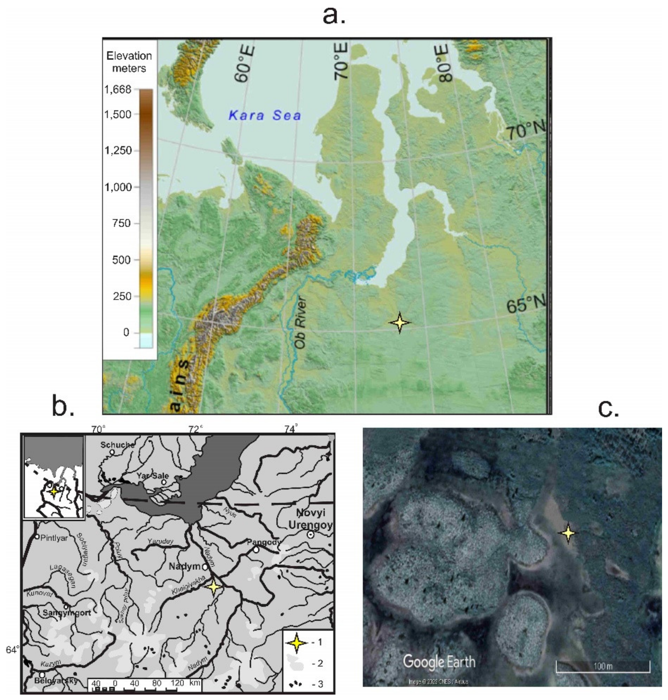 Quaternary 07 00001 g001