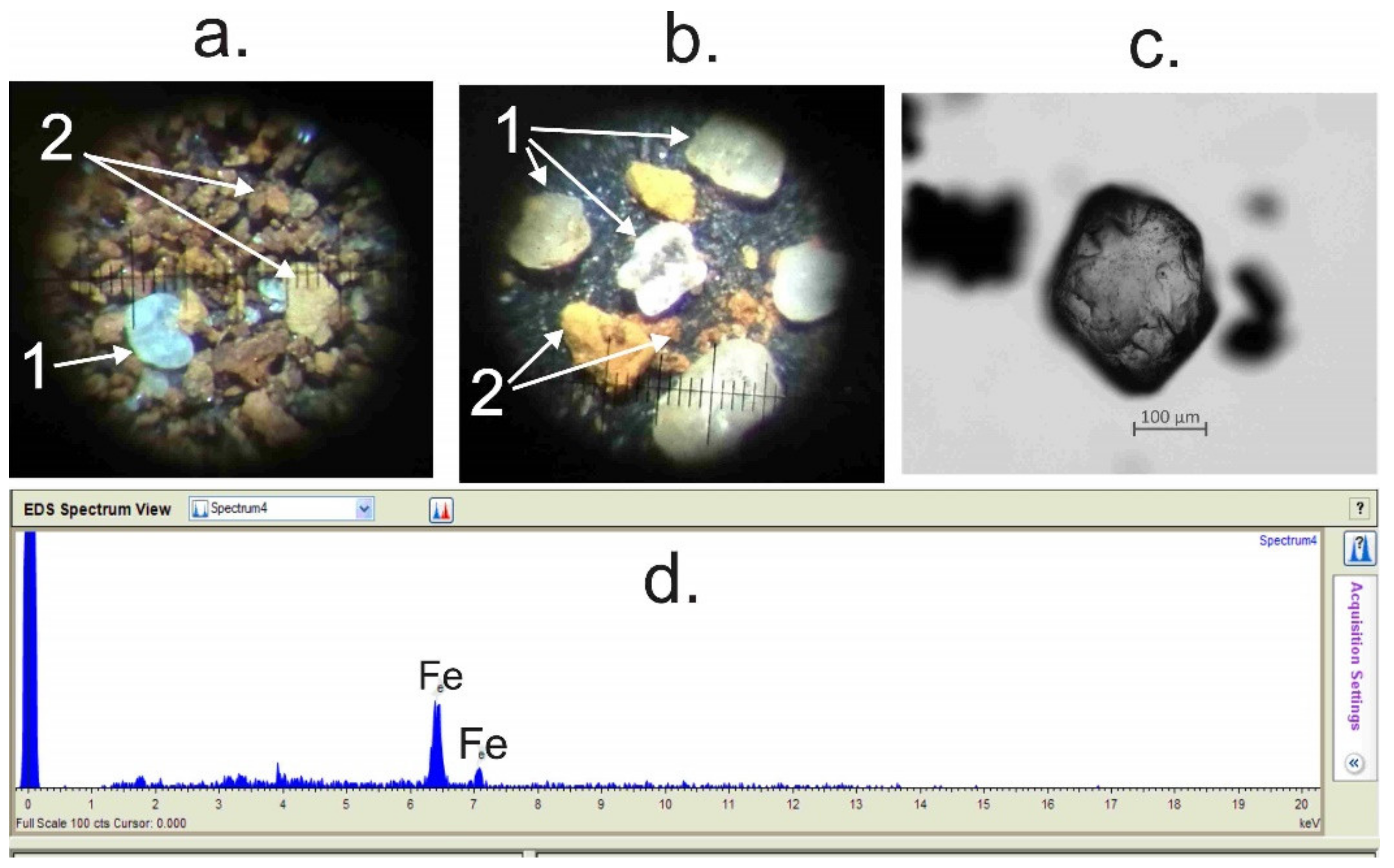 Quaternary 07 00001 g002