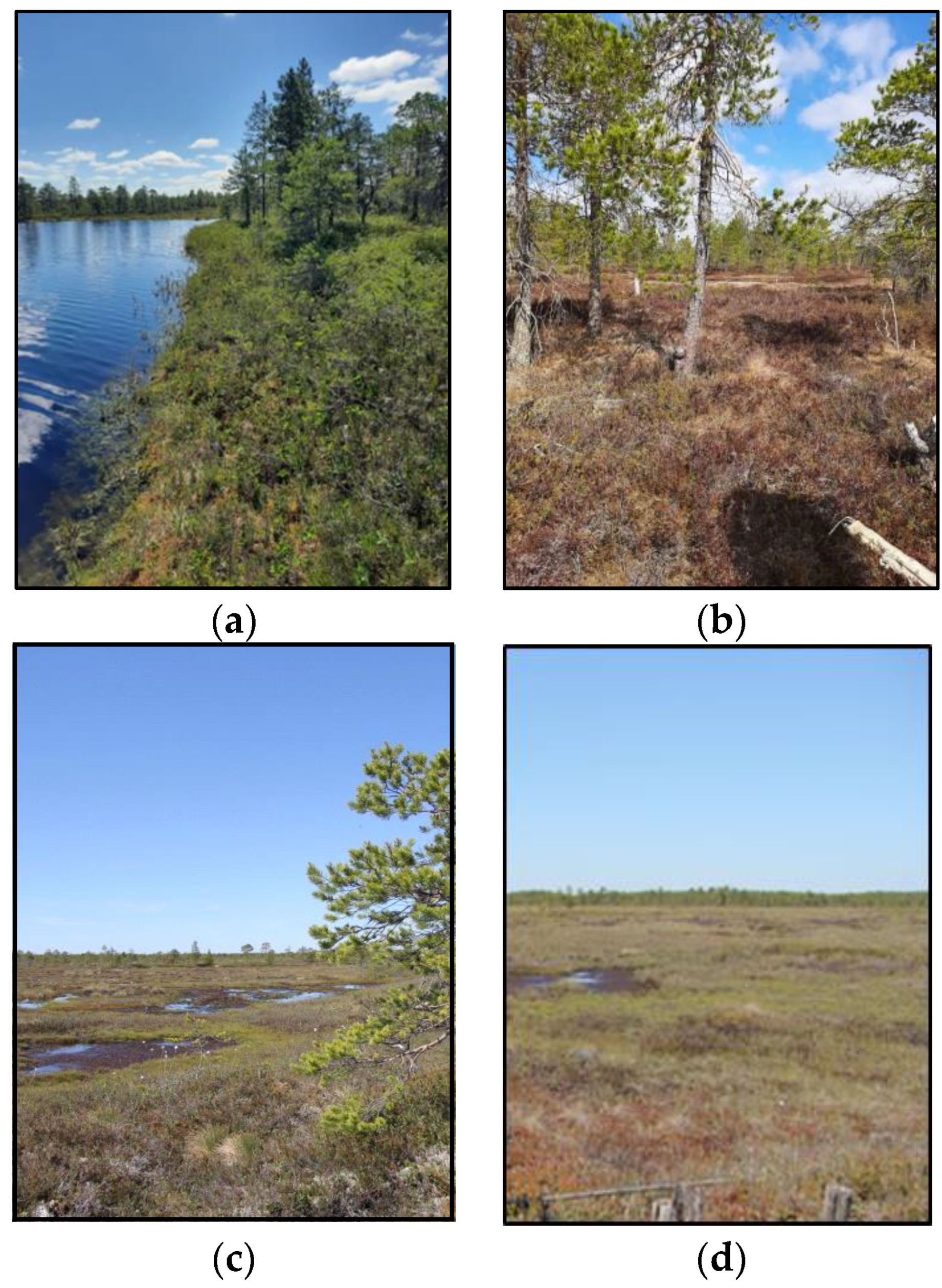 Quaternary 07 00019 g002 Quaternary 07 00019 g002