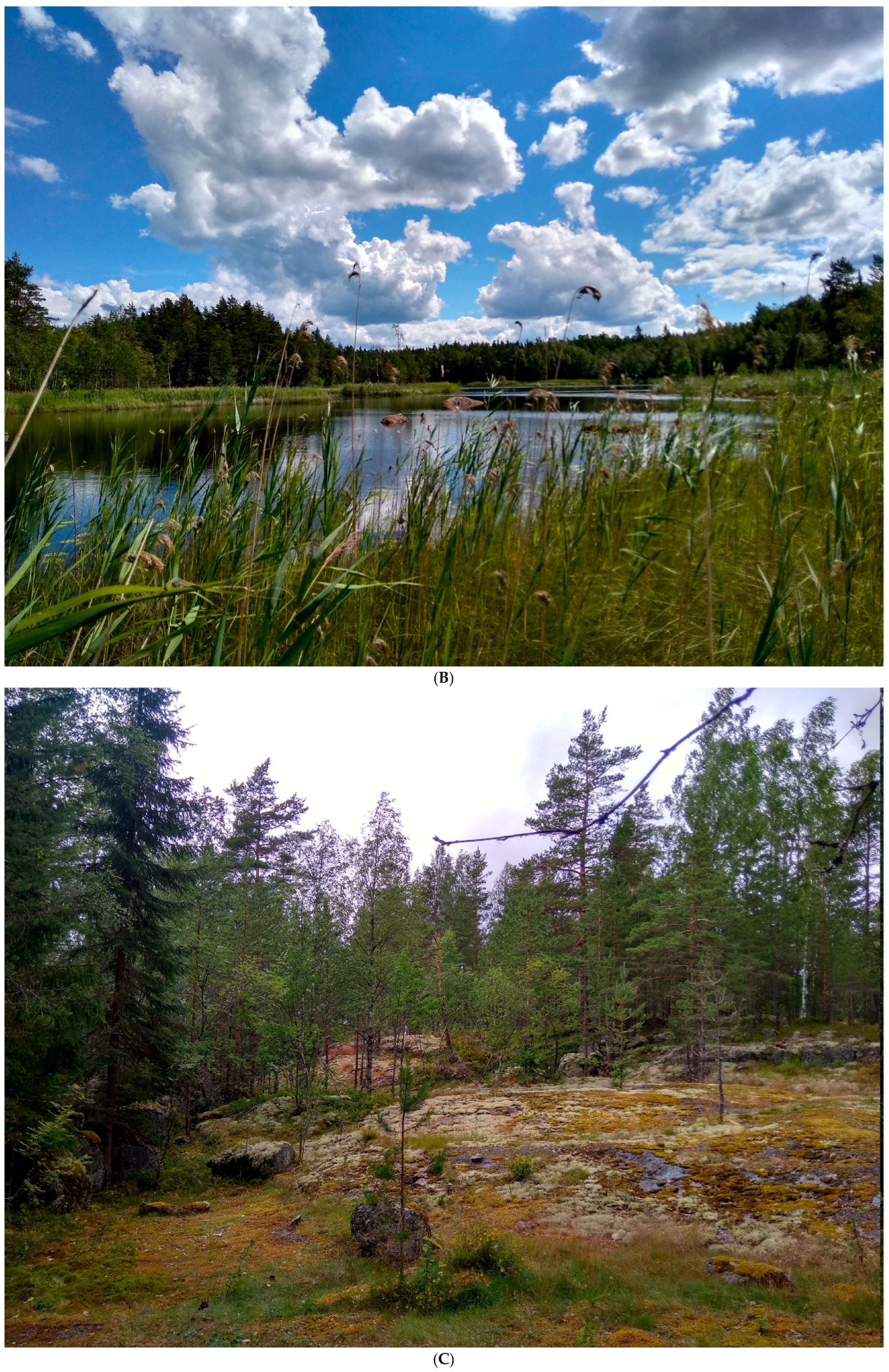 Quaternary 07 00031 g002b