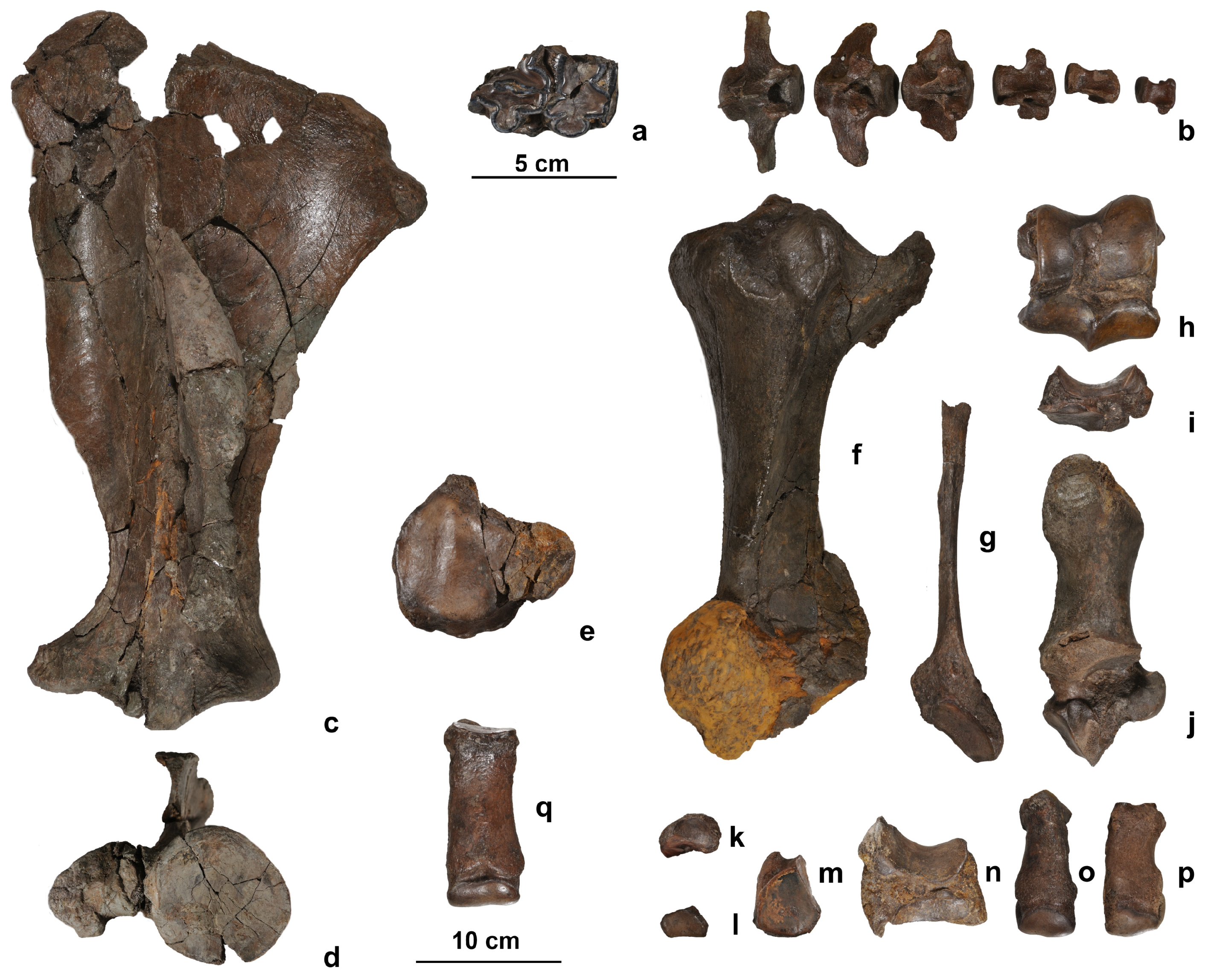 Quaternary 07 00041 g003 Quaternary 07 00041 g003