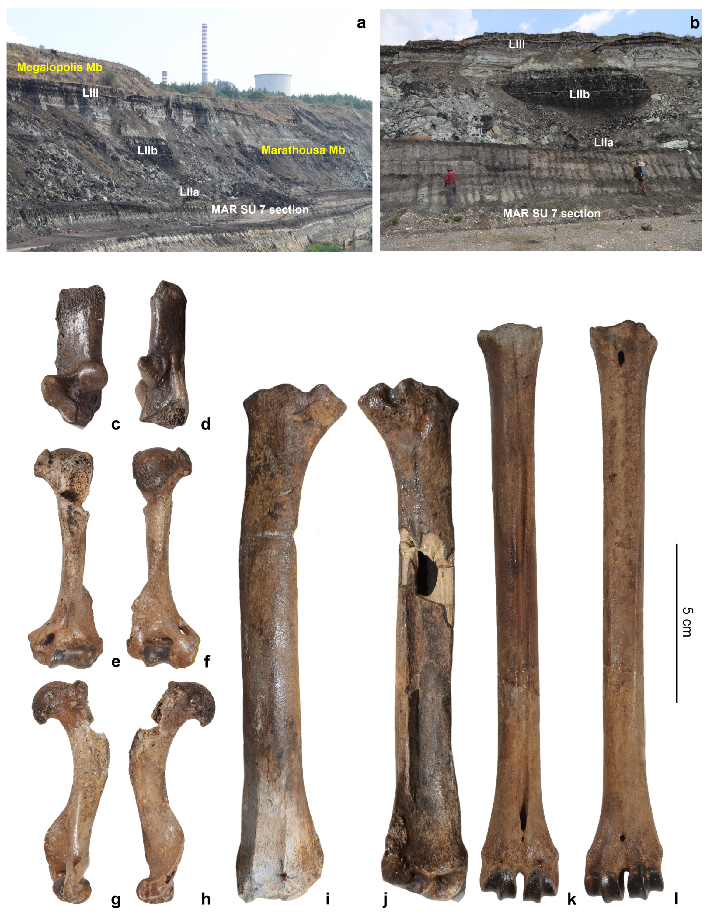 Quaternary 07 00041 g007 Quaternary 07 00041 g007