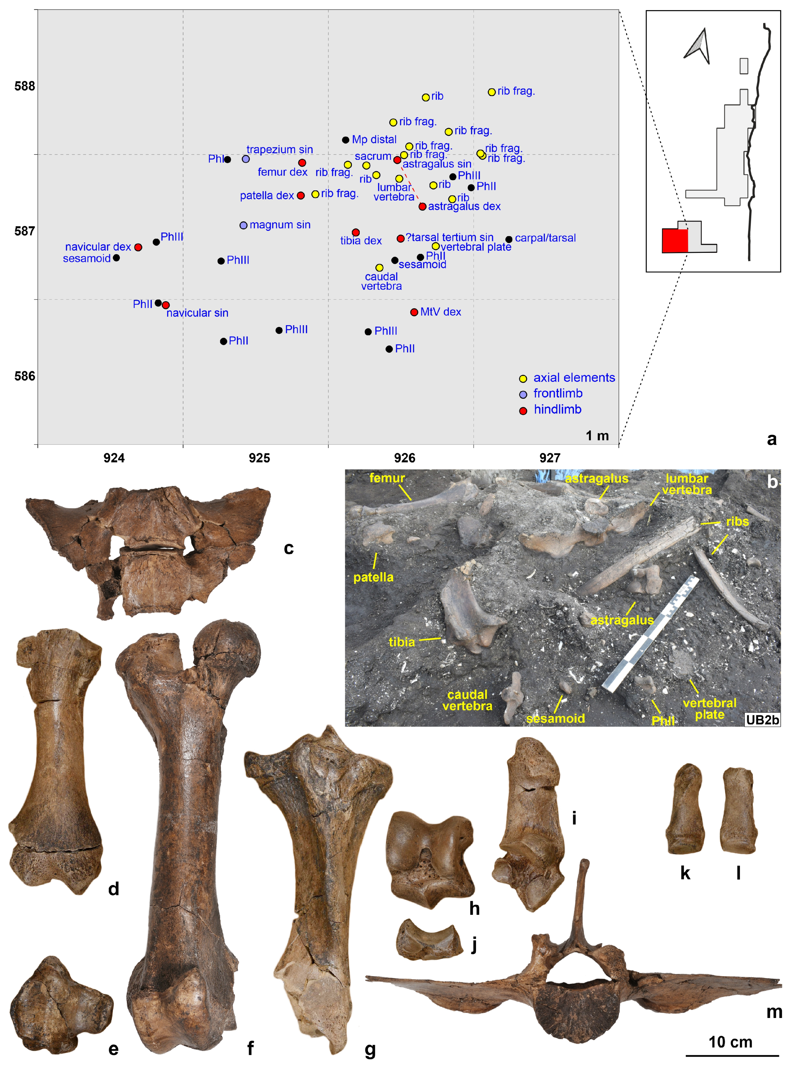 Quaternary 07 00041 g008 Quaternary 07 00041 g008