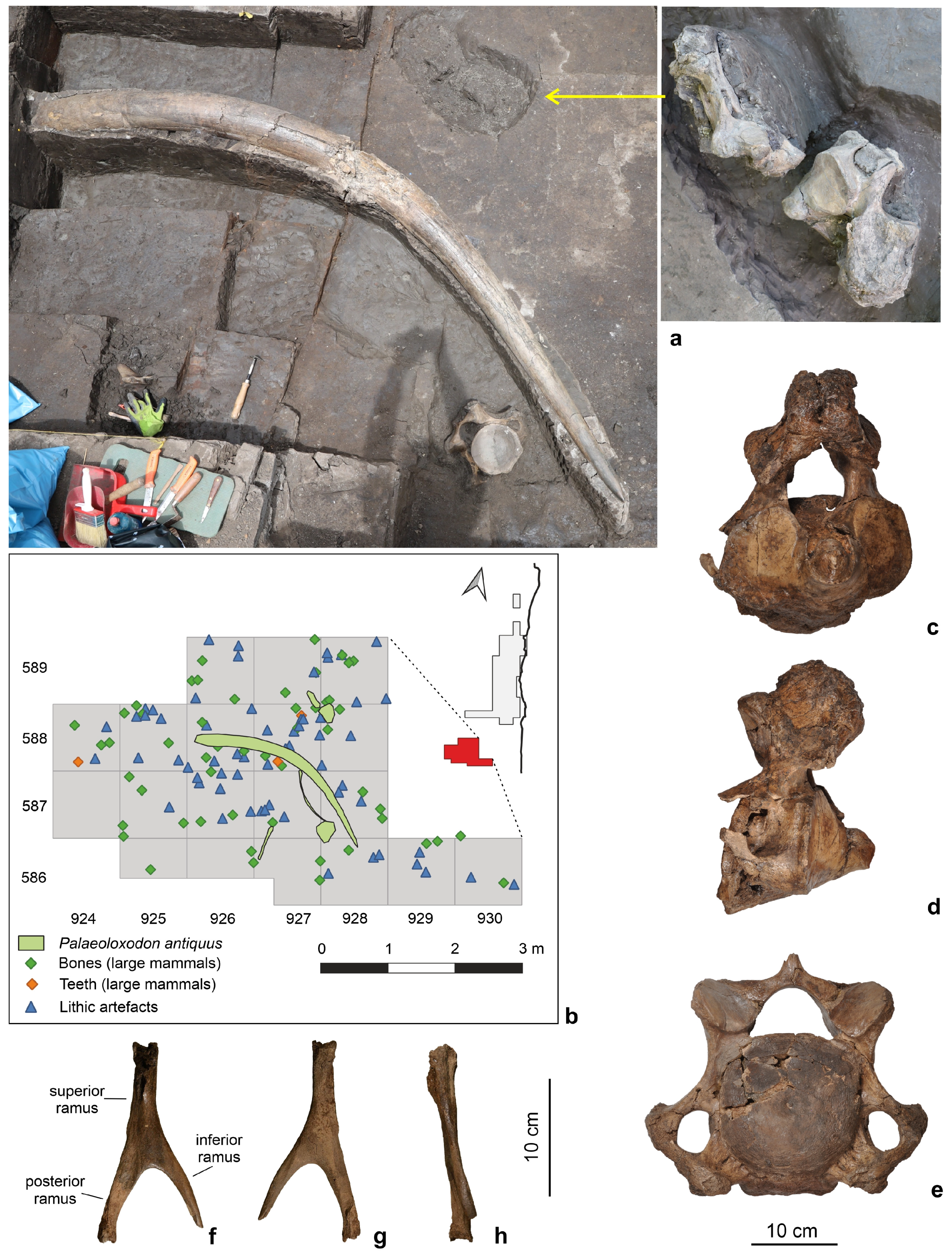 Quaternary 07 00041 g010 Quaternary 07 00041 g010