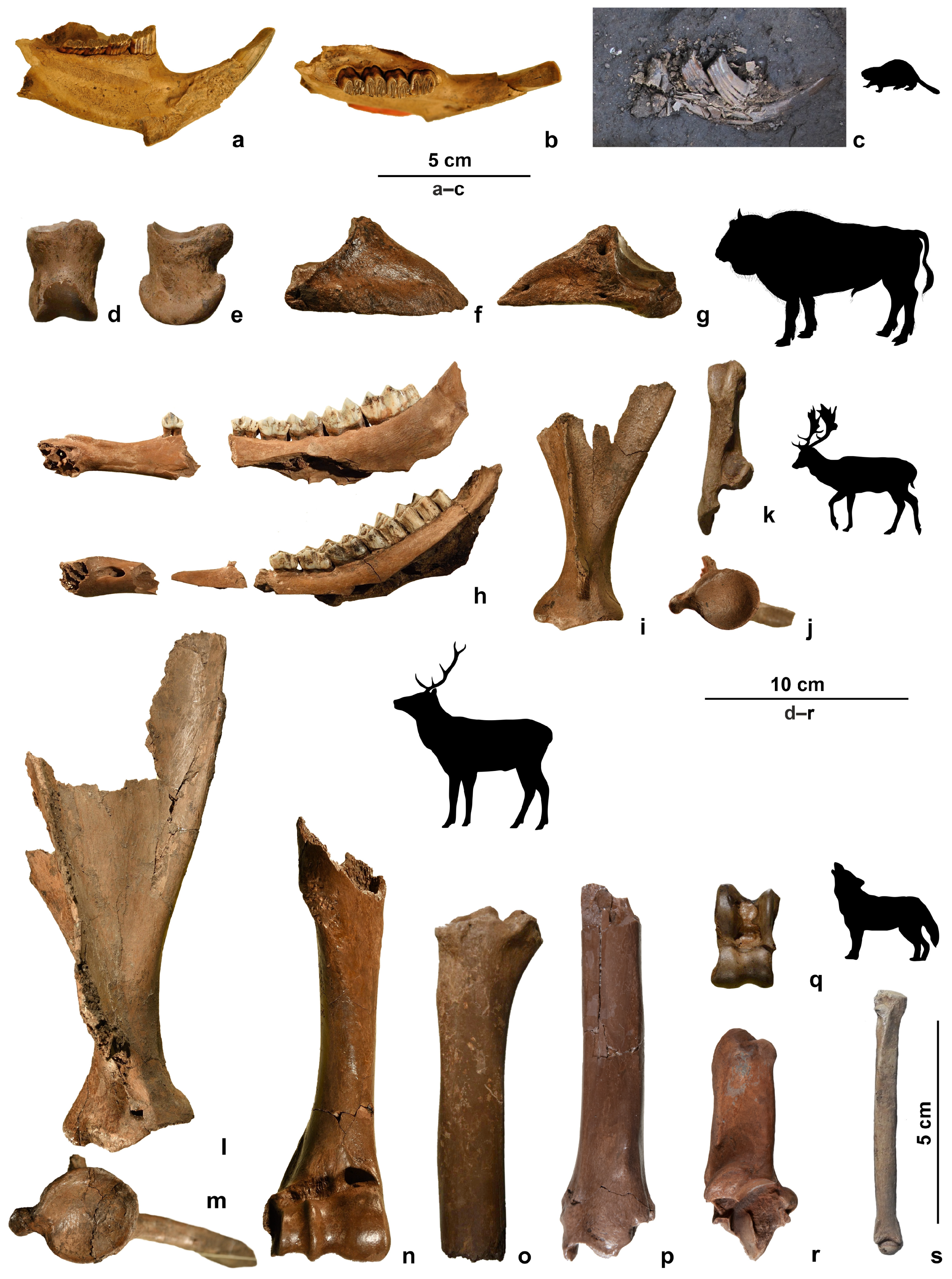 Quaternary 07 00041 g011 Quaternary 07 00041 g011