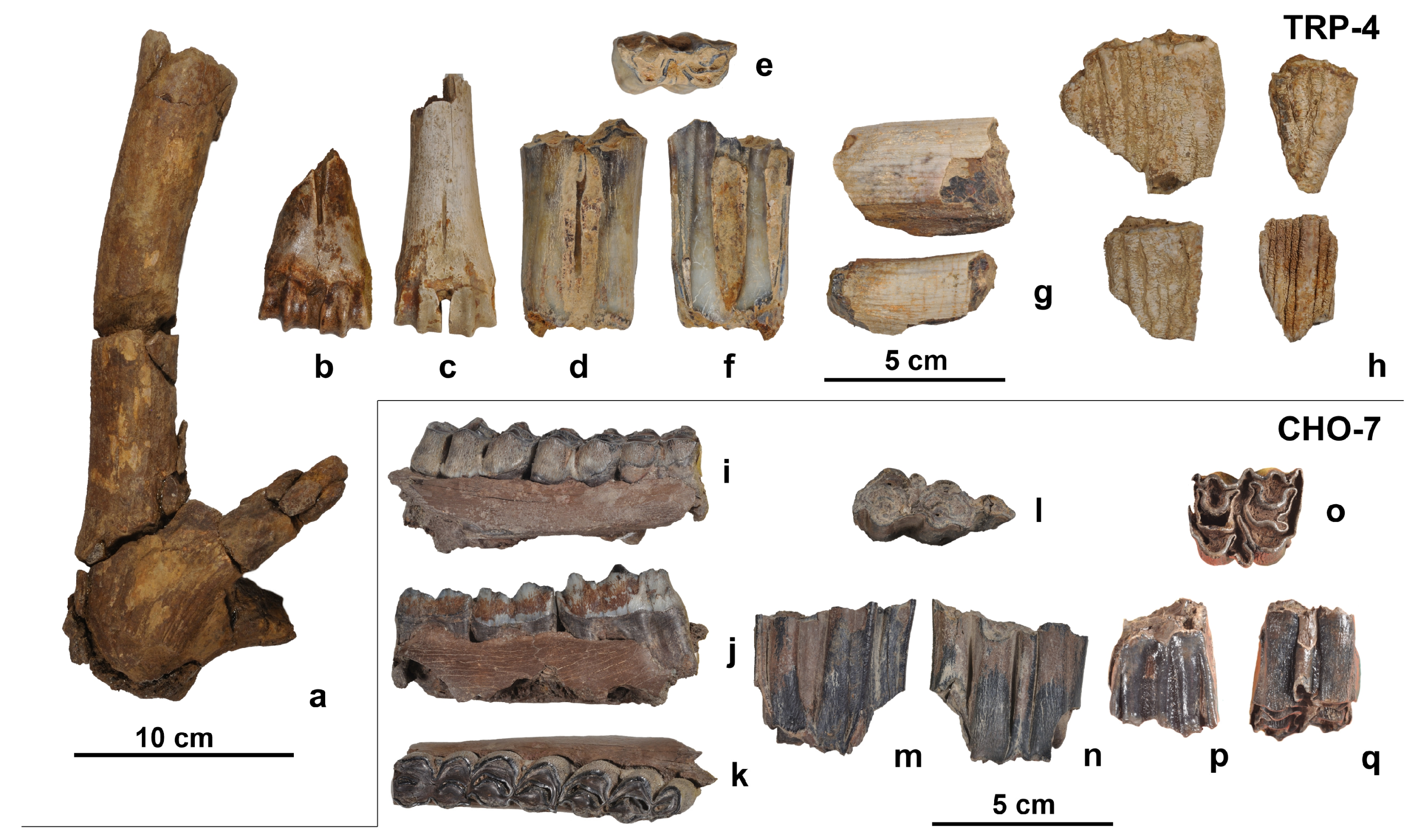 Quaternary 07 00041 g012 Quaternary 07 00041 g012
