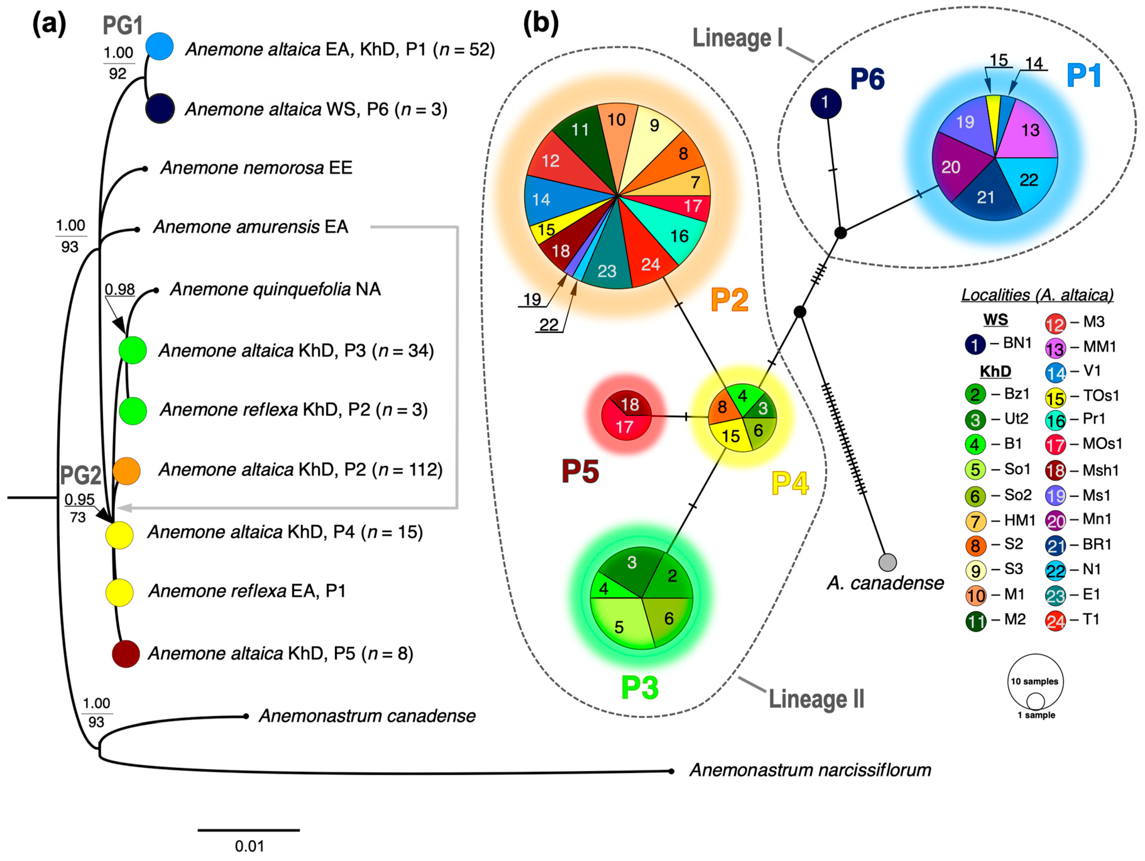 Quaternary 08 00020 g001
