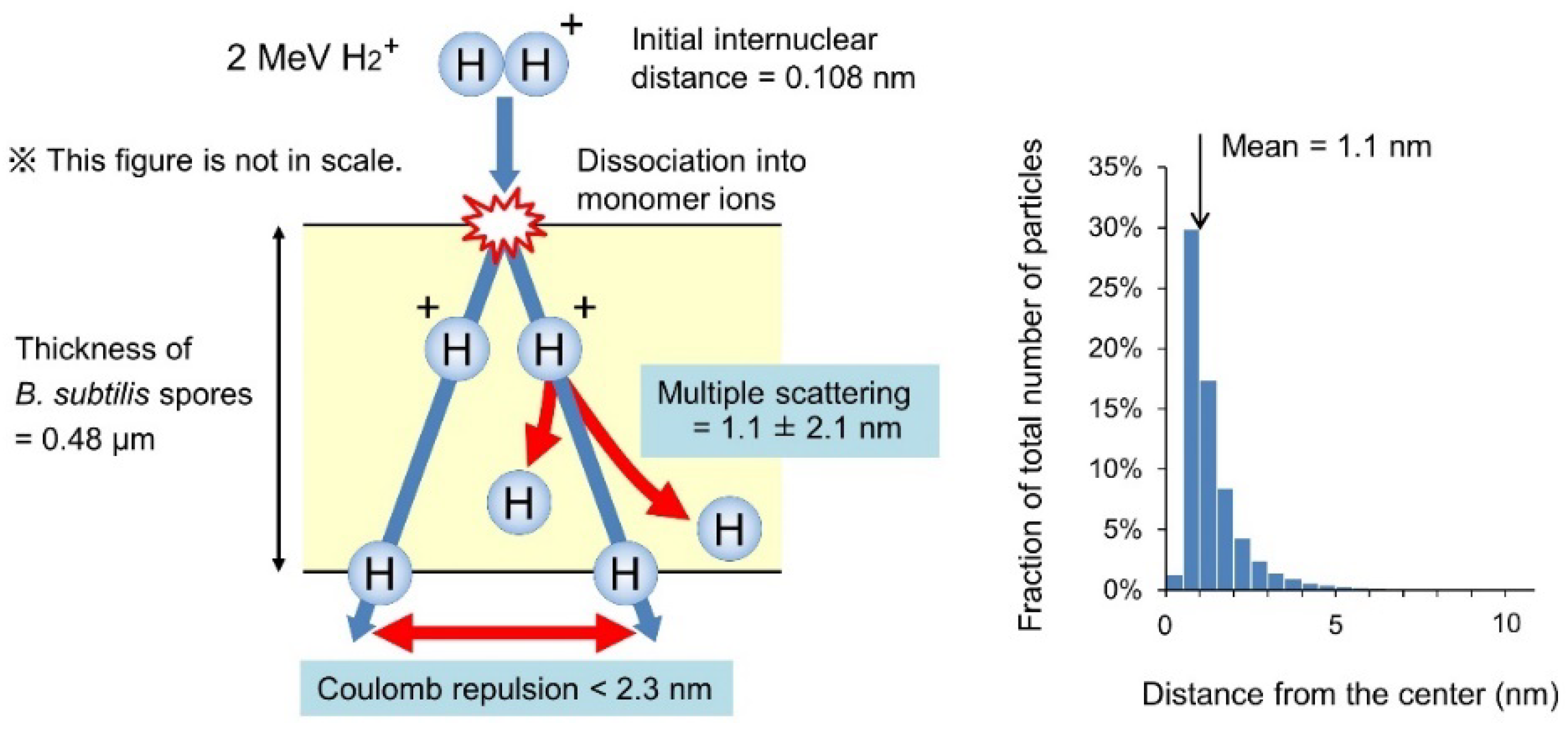 Qubs 05 00025 g003 Qubs 05 00025 g003