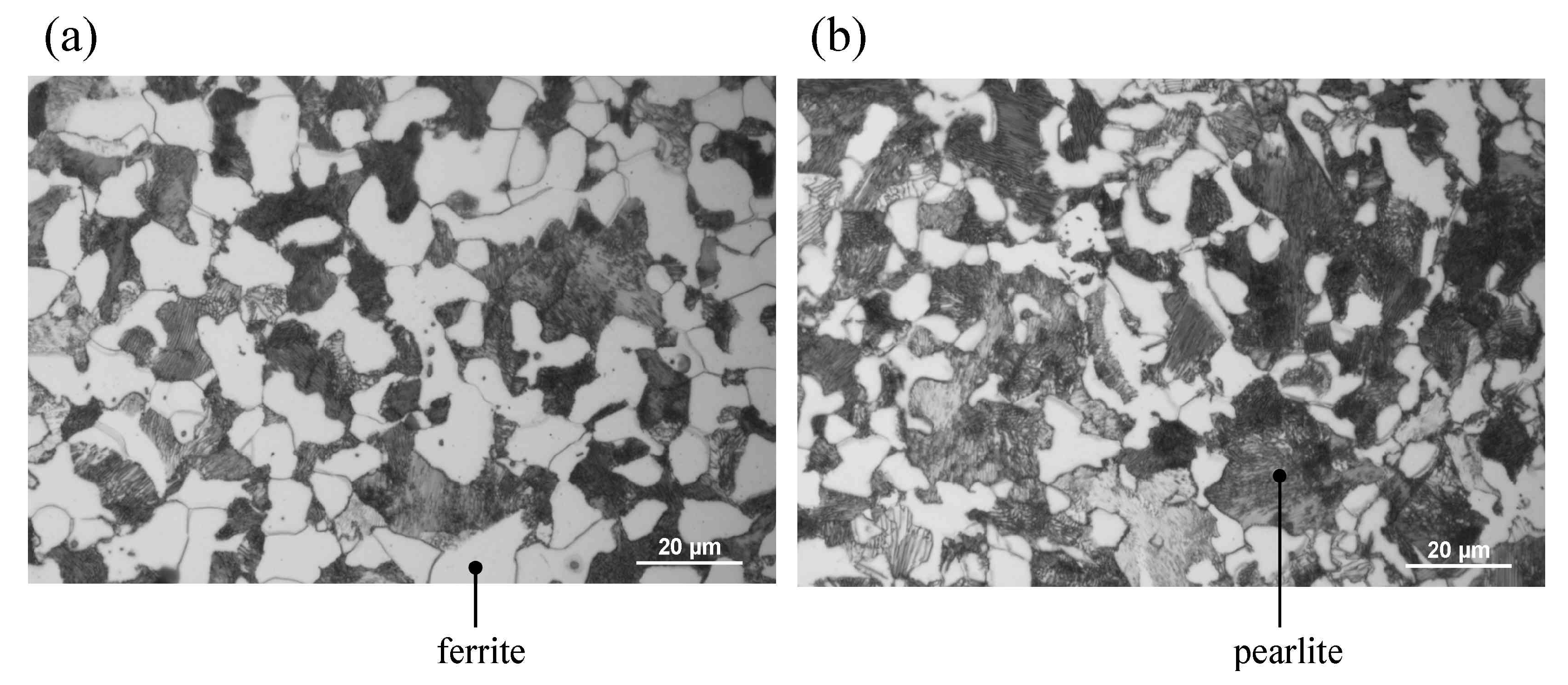 QuBS | Free Full-Text | Scanning Three-Dimensional X-ray