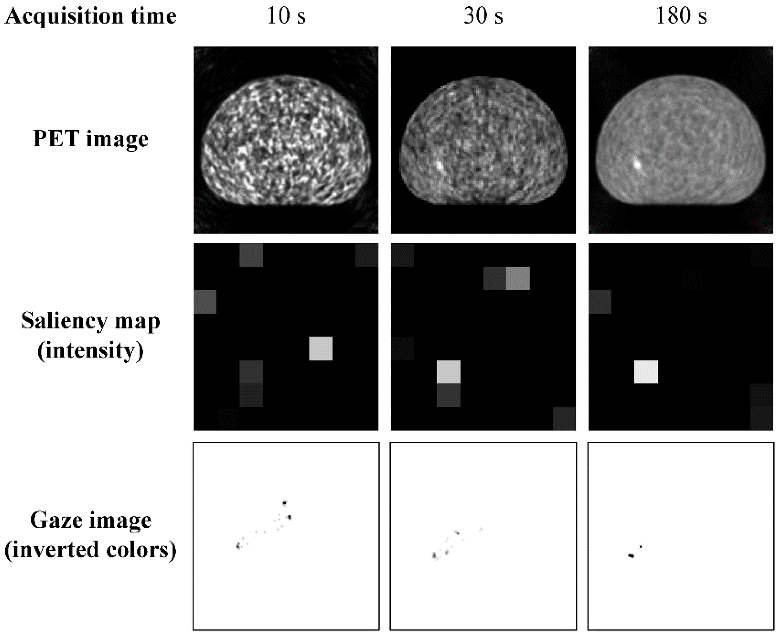 Radiation | Free Full-Text | Validation of a Saliency Map for