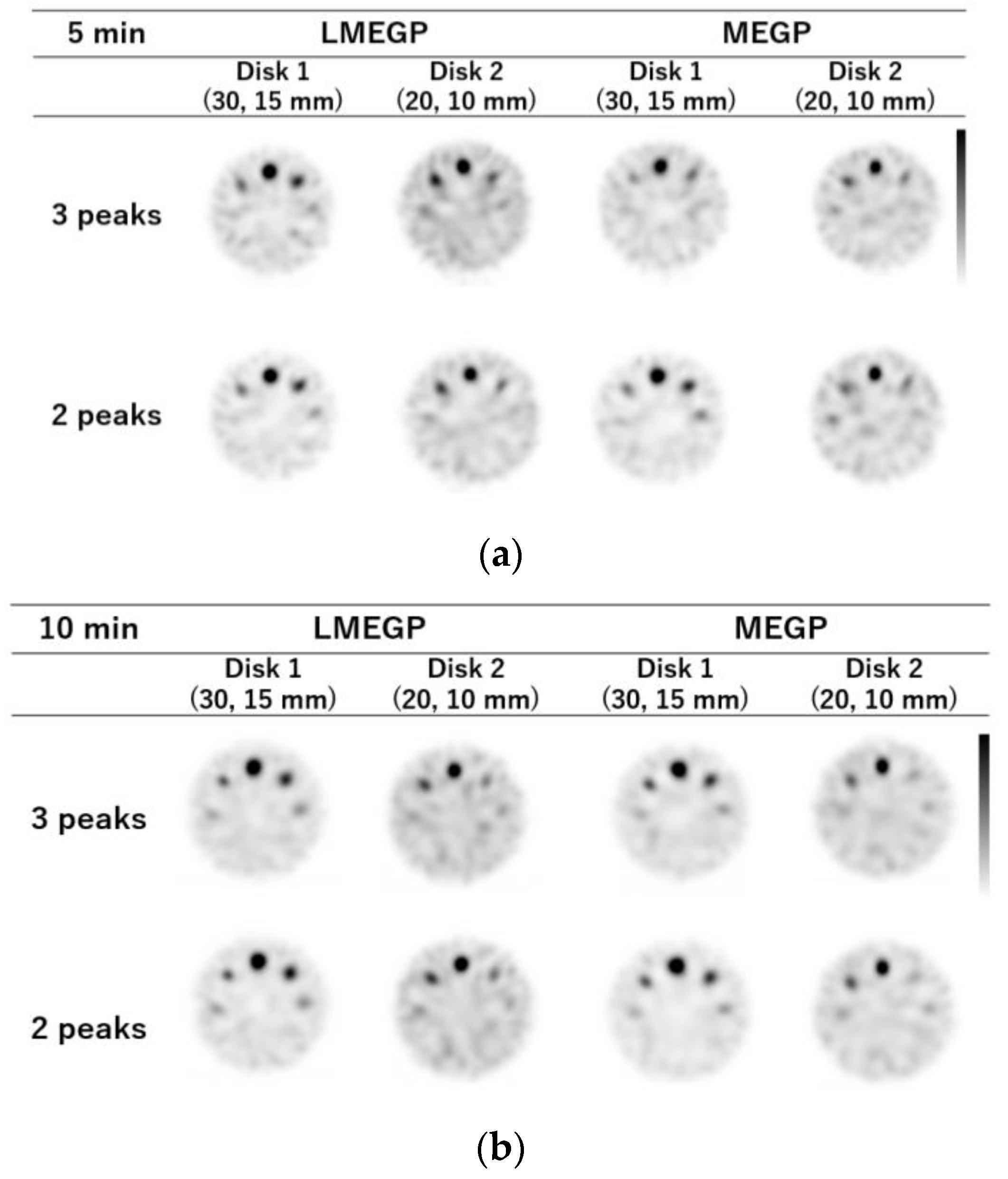 Radiation 04 00002 g005a