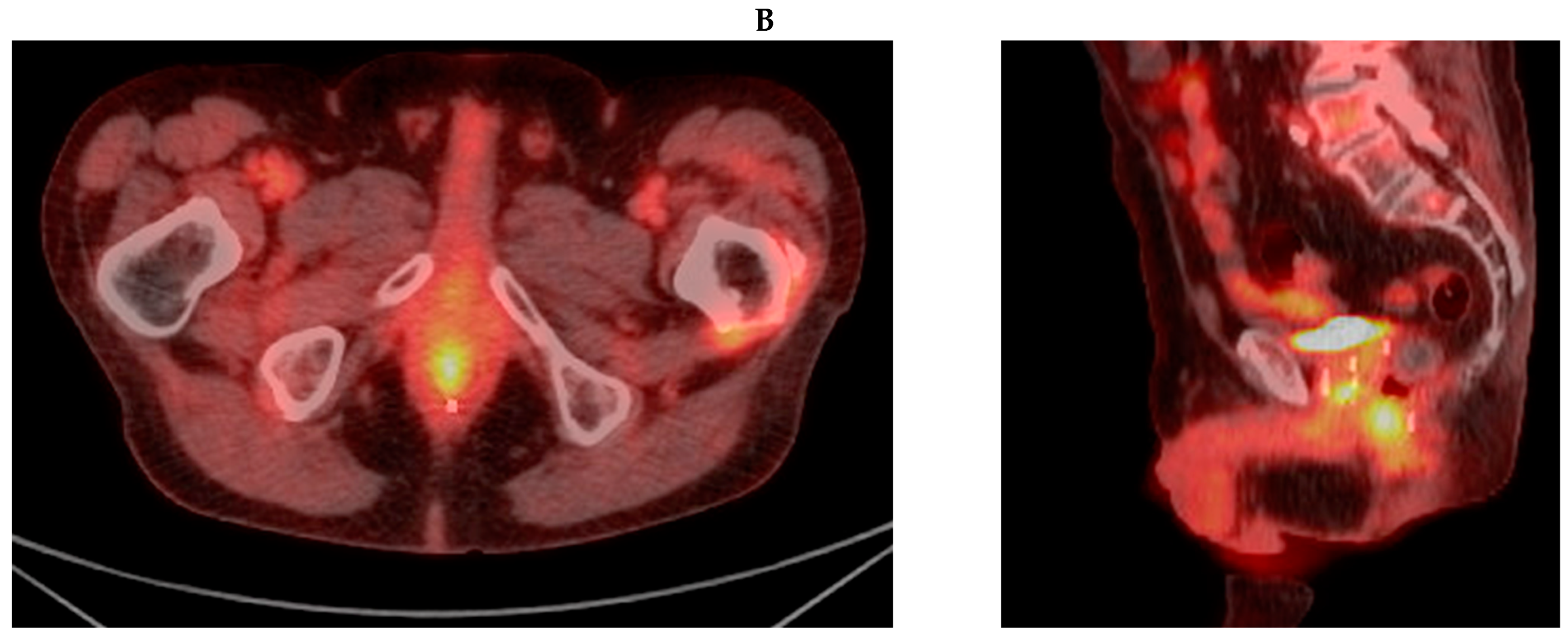 Radiation 04 00019 g001b