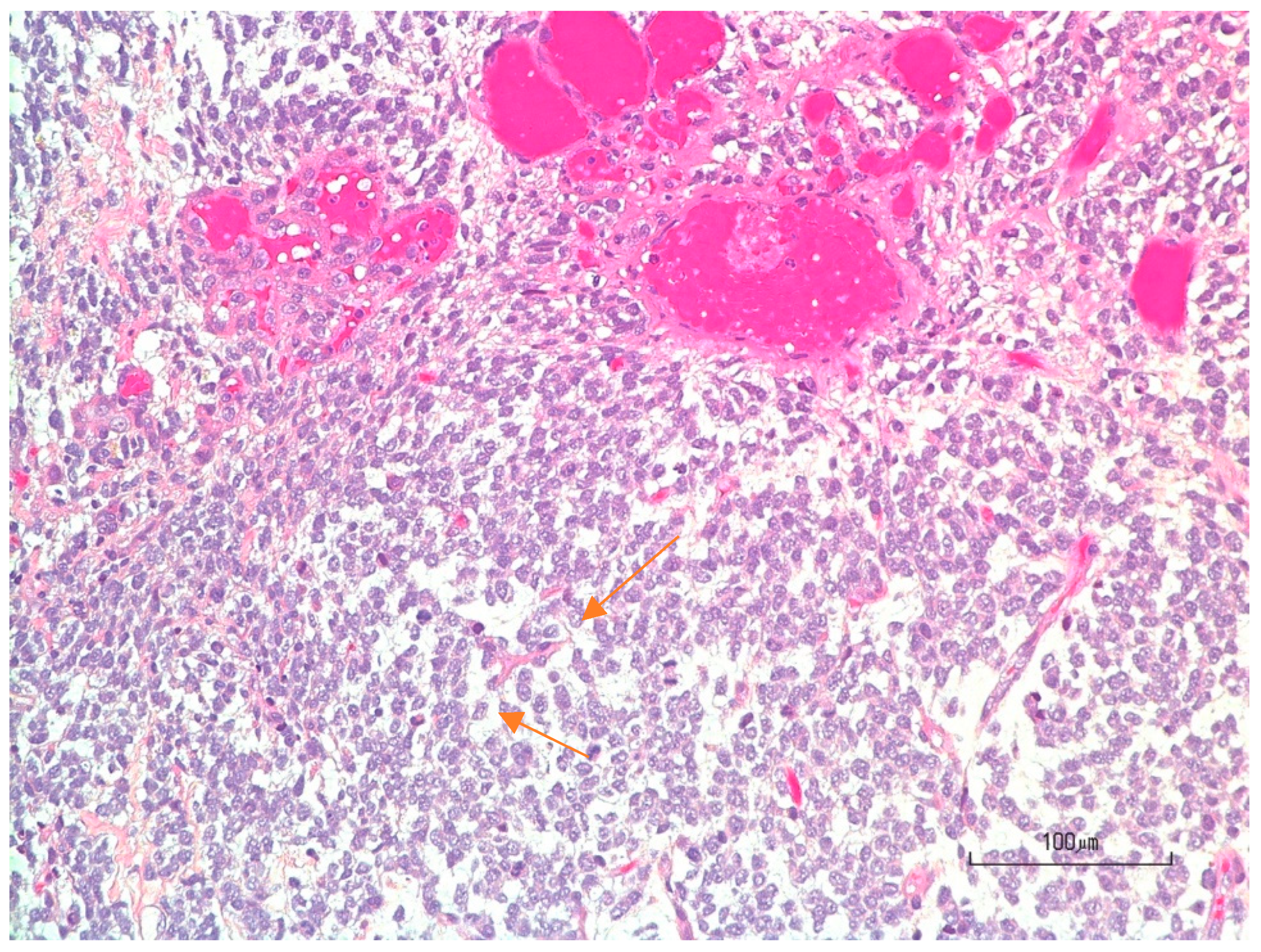 Radiation 05 00013 g008