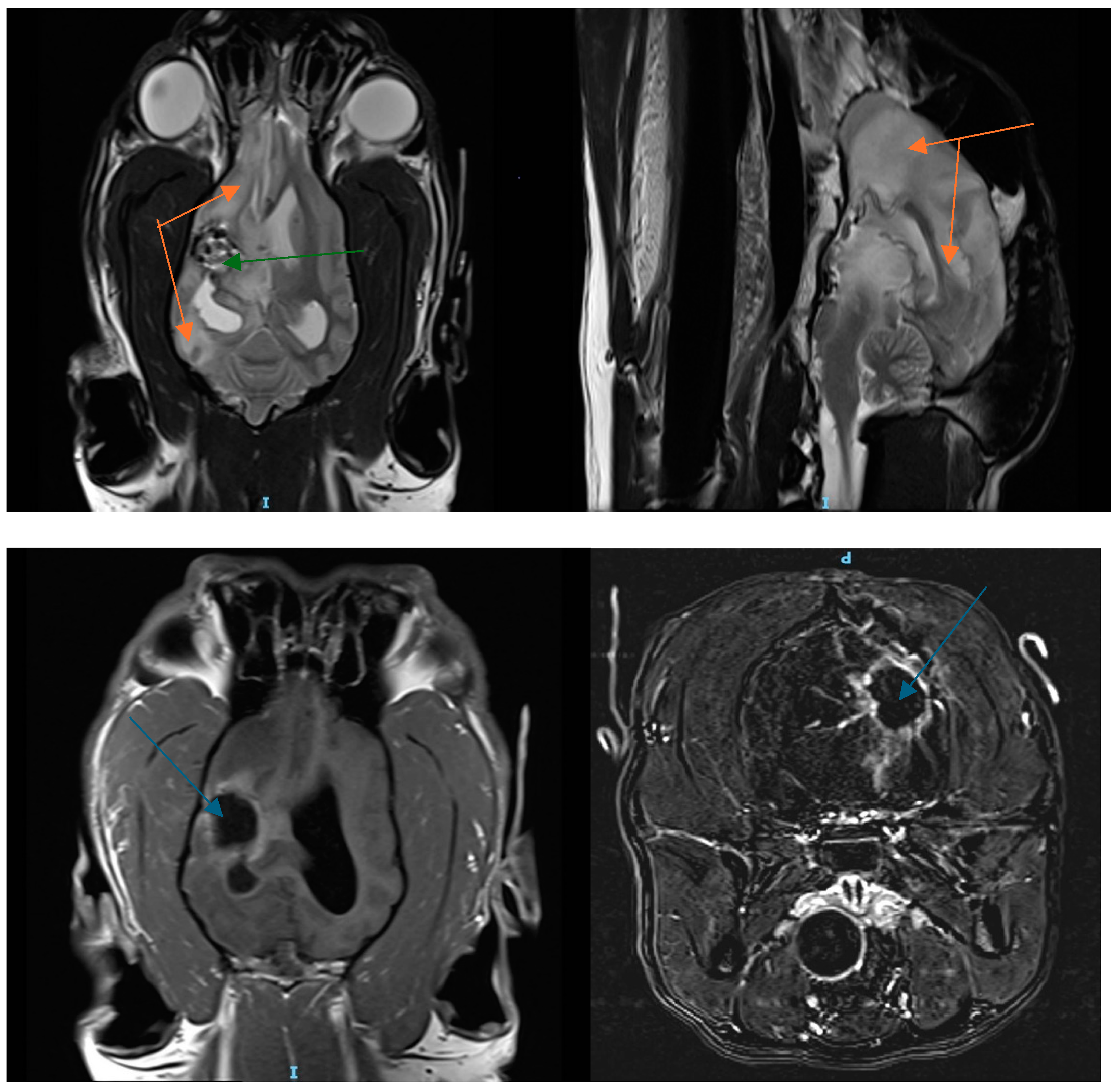 Radiation 05 00013 g010