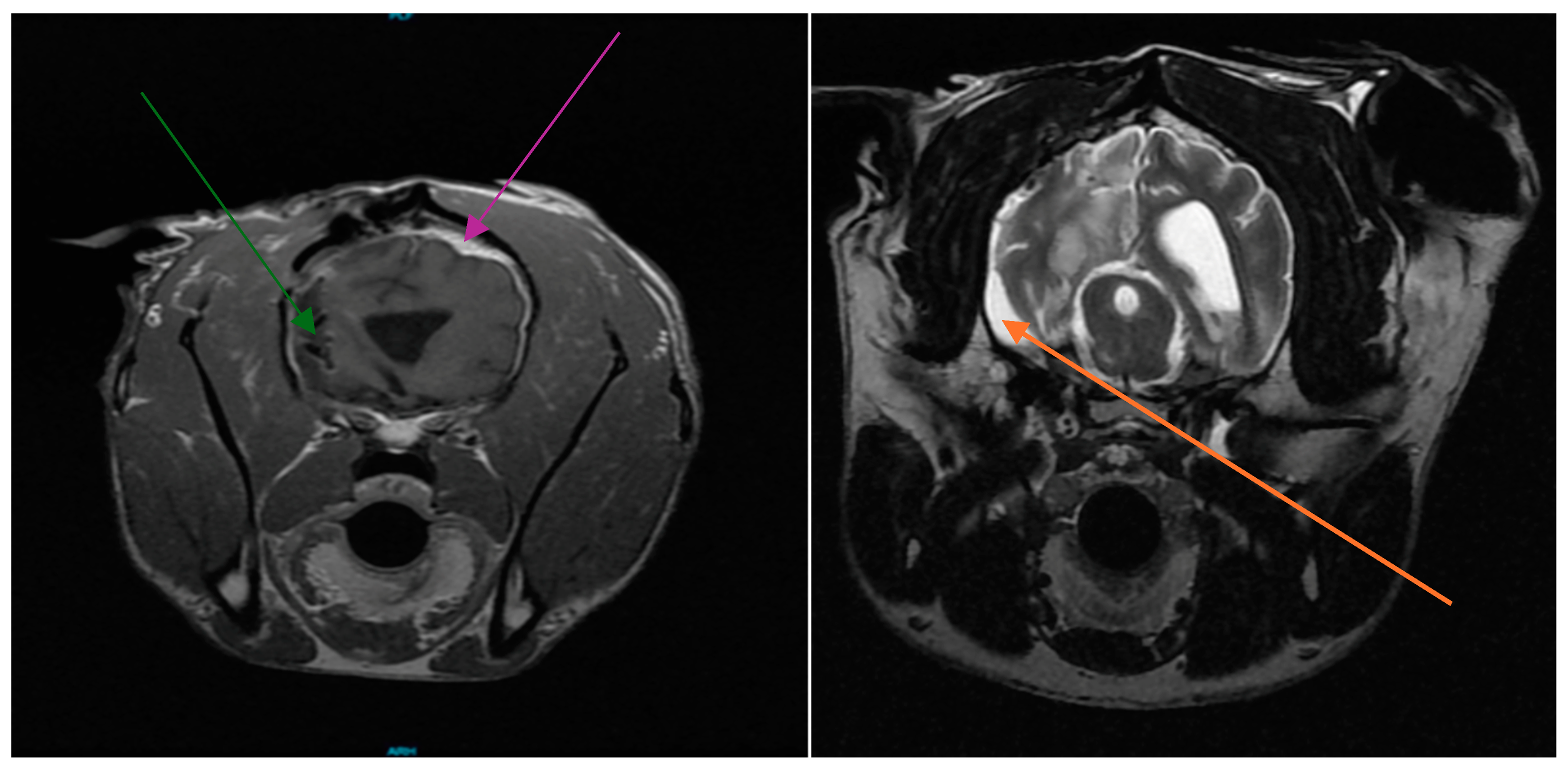 Radiation 05 00013 g011