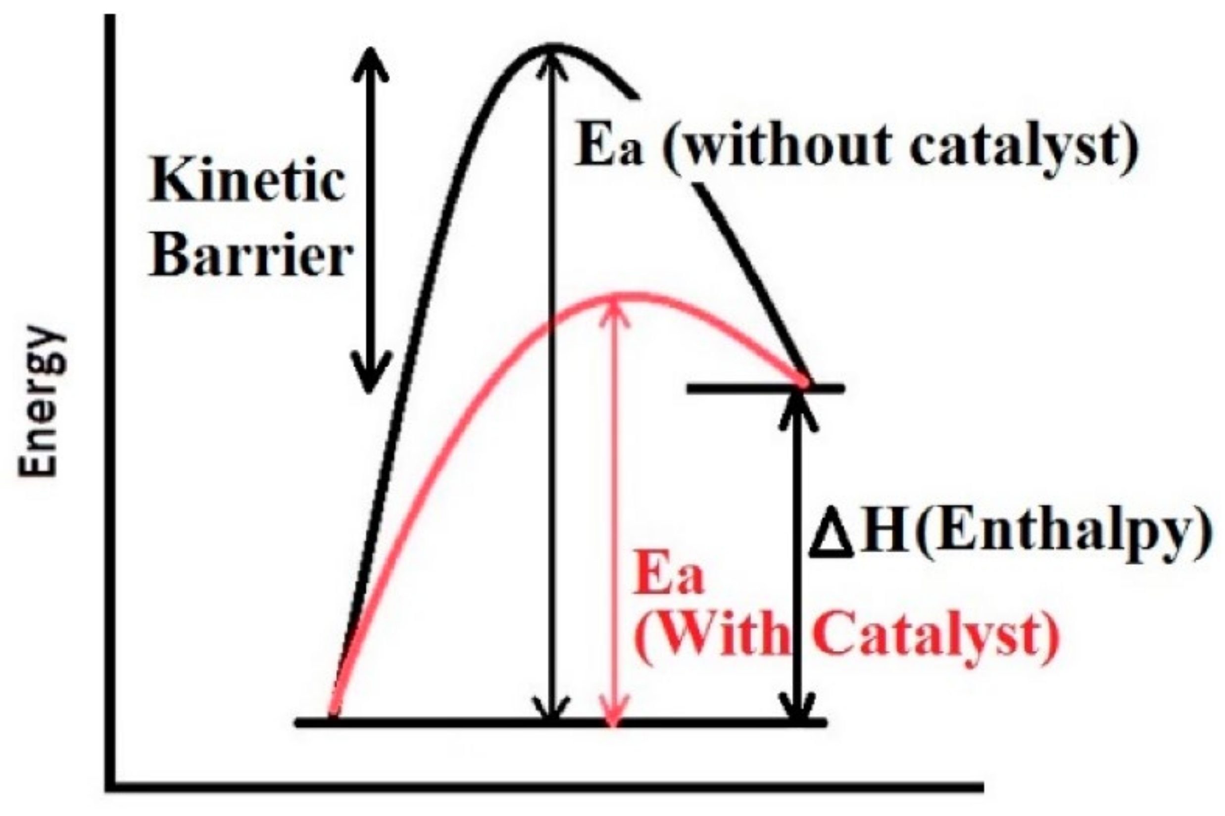 Reactions 02 00022 g008
