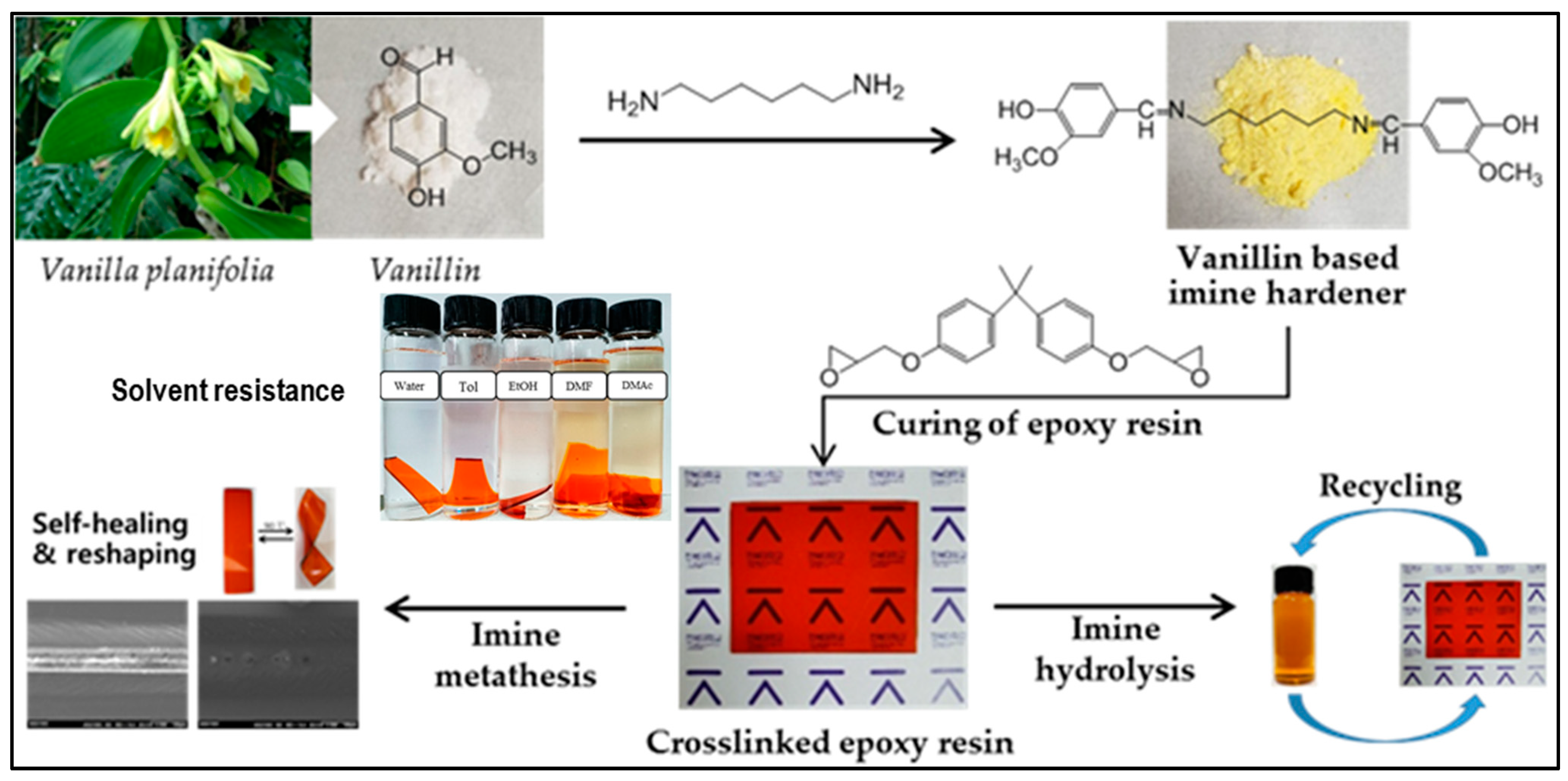 Reactions 04 00003 g012