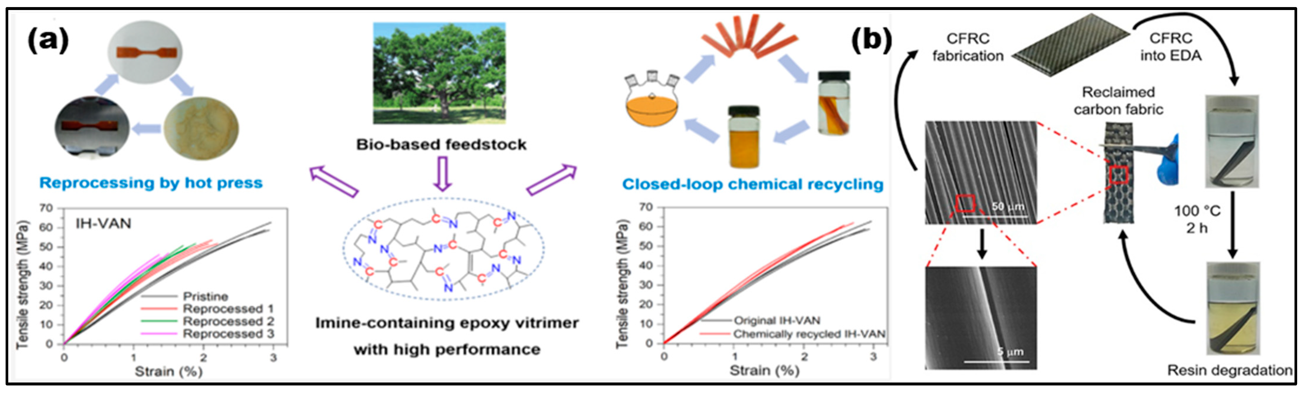 Reactions 04 00003 g013